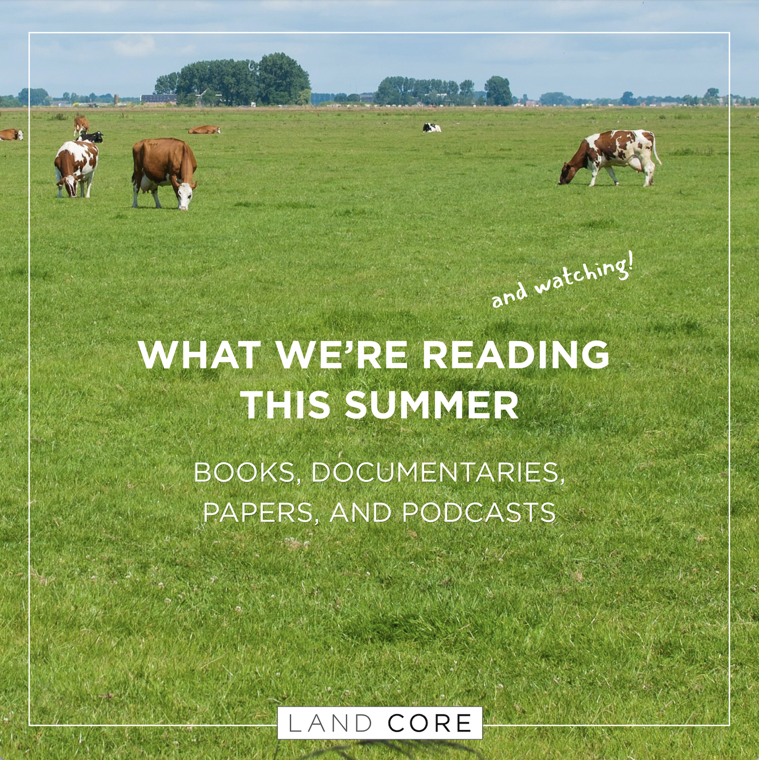 What We're Reading (&amp; Watching) This Summer - August 2026