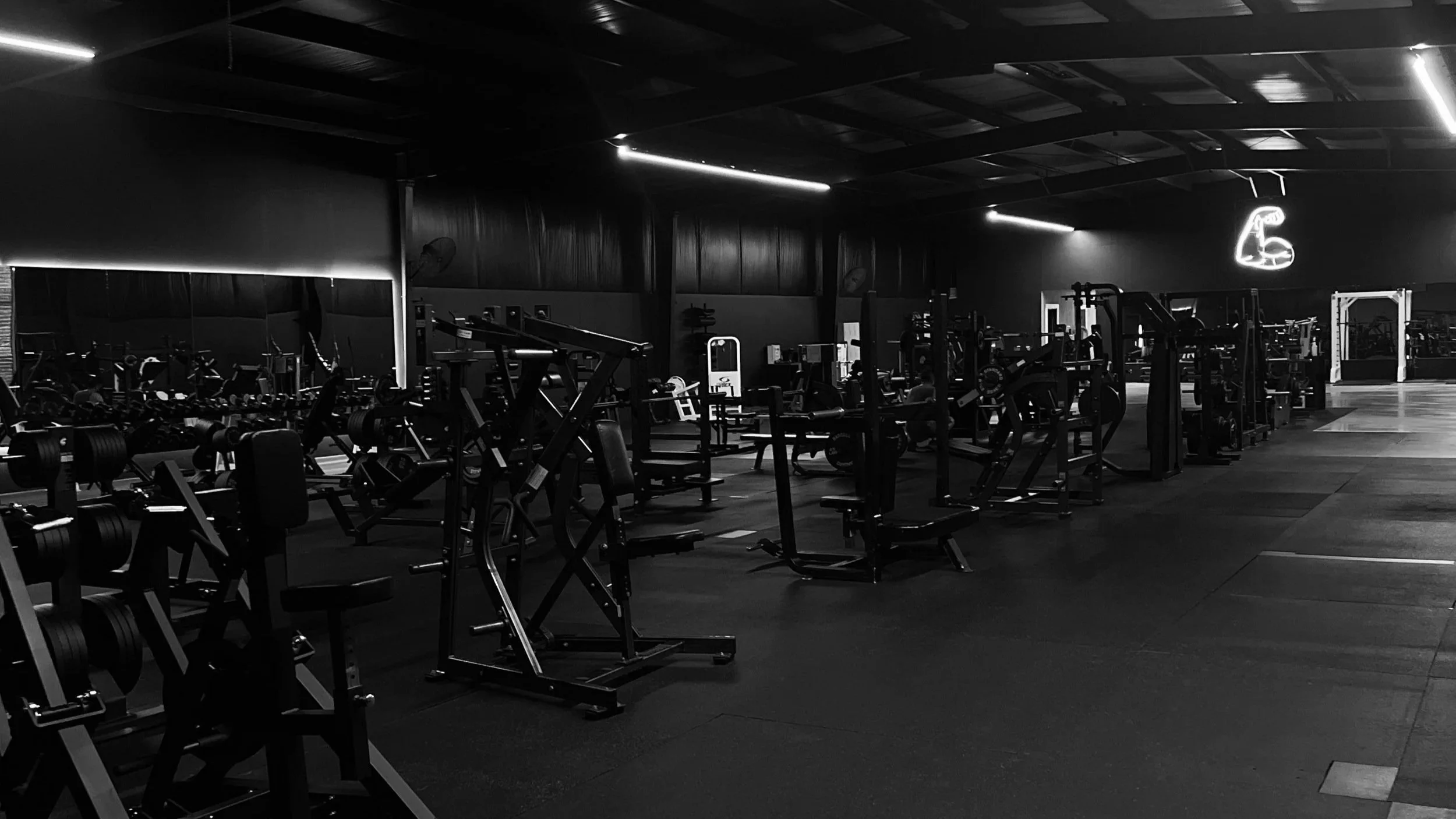 Gym2.jpg