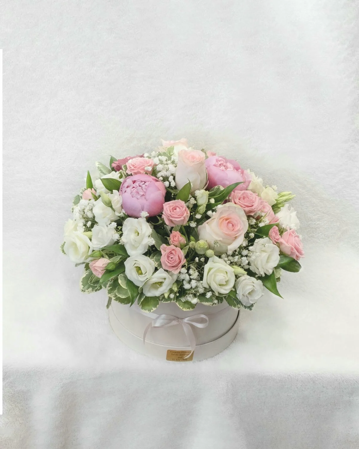 87AB390B-78F8-4EC6-A7B4-6305CE32D684