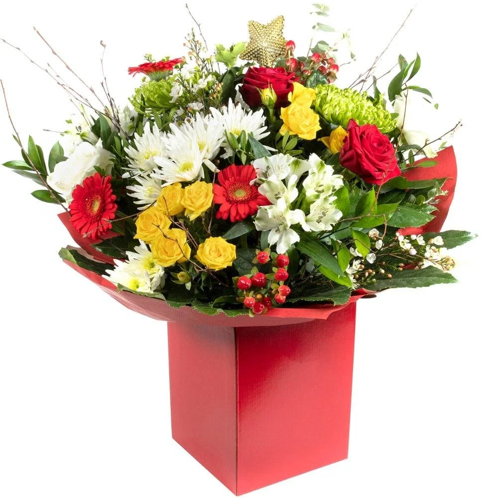 WhatsApp Image 2025-12-07 at 14.10.30_fbc38e15.jpg