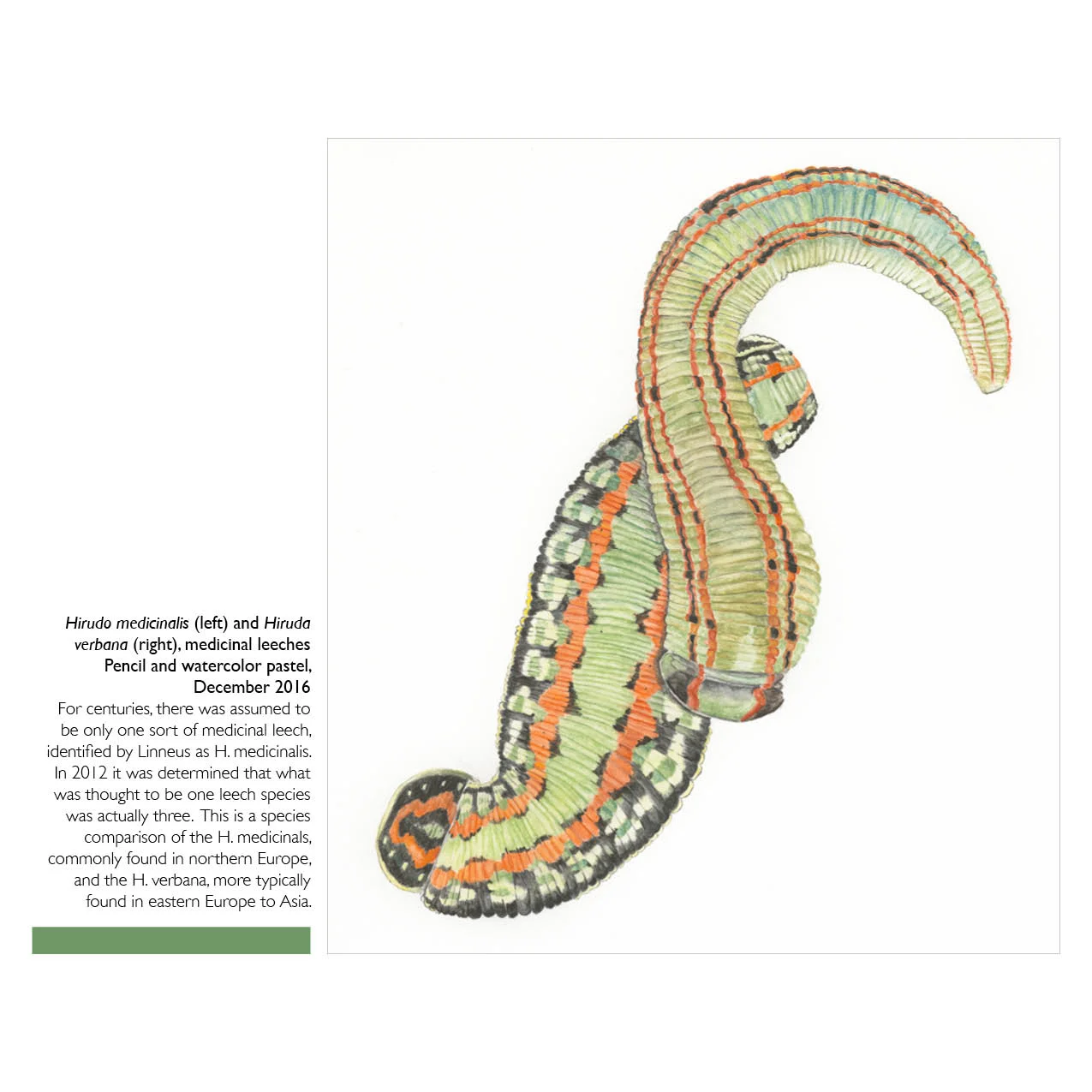 CATALOG-LAYOUT-v01052.jpg
