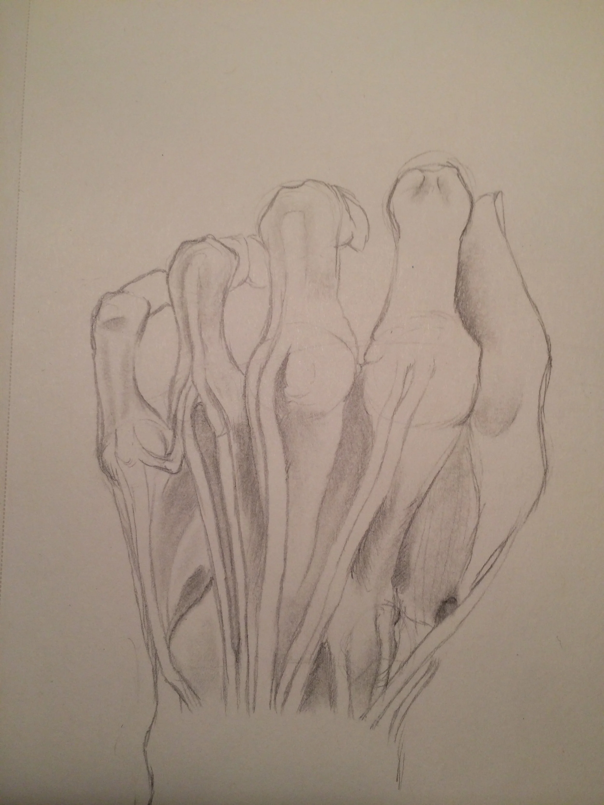 Tentacles &amp; Wings is Hosting an Art Exhibit and Silent Auction