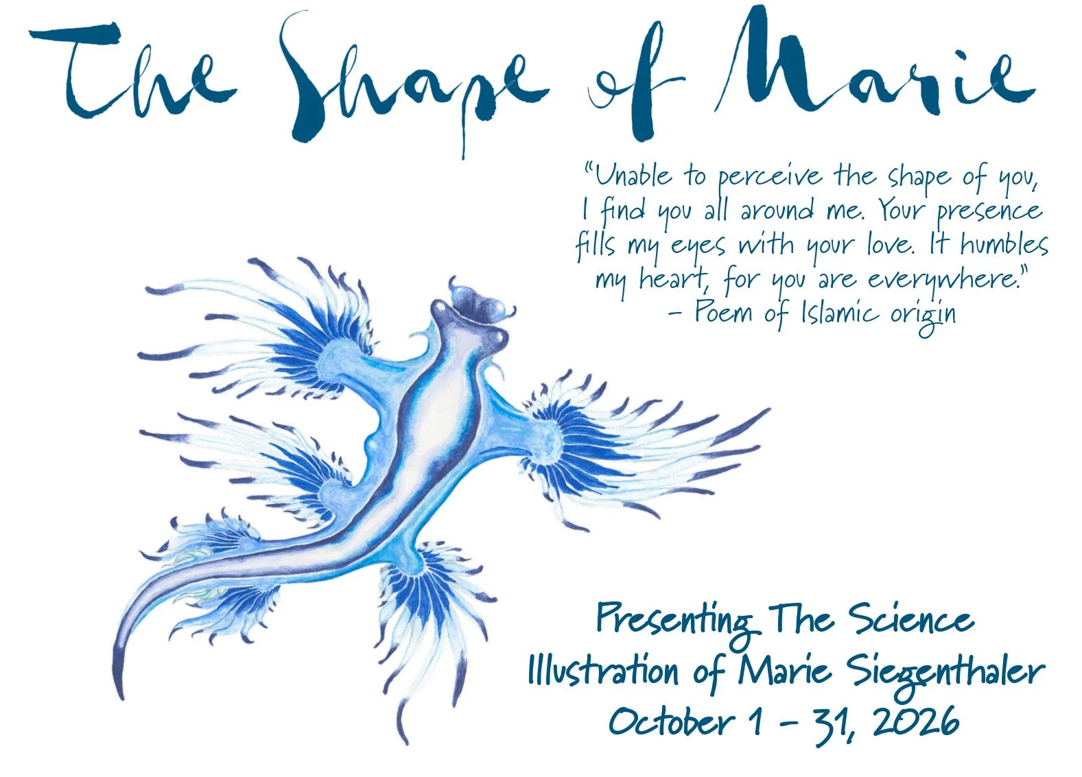 Presenting the Science Illustration of Marie Siegenthaler