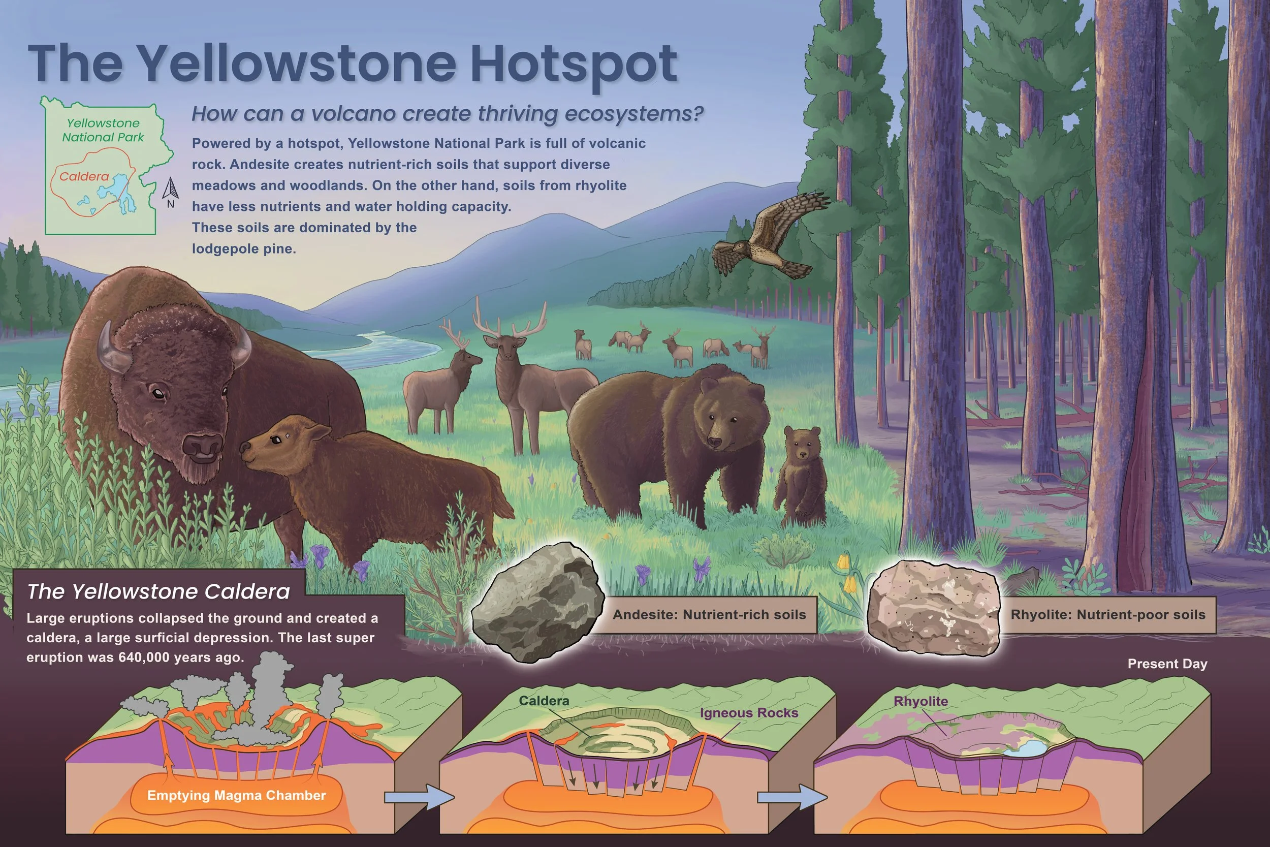 Maya Hutagalung_Yellowstone.jpg
