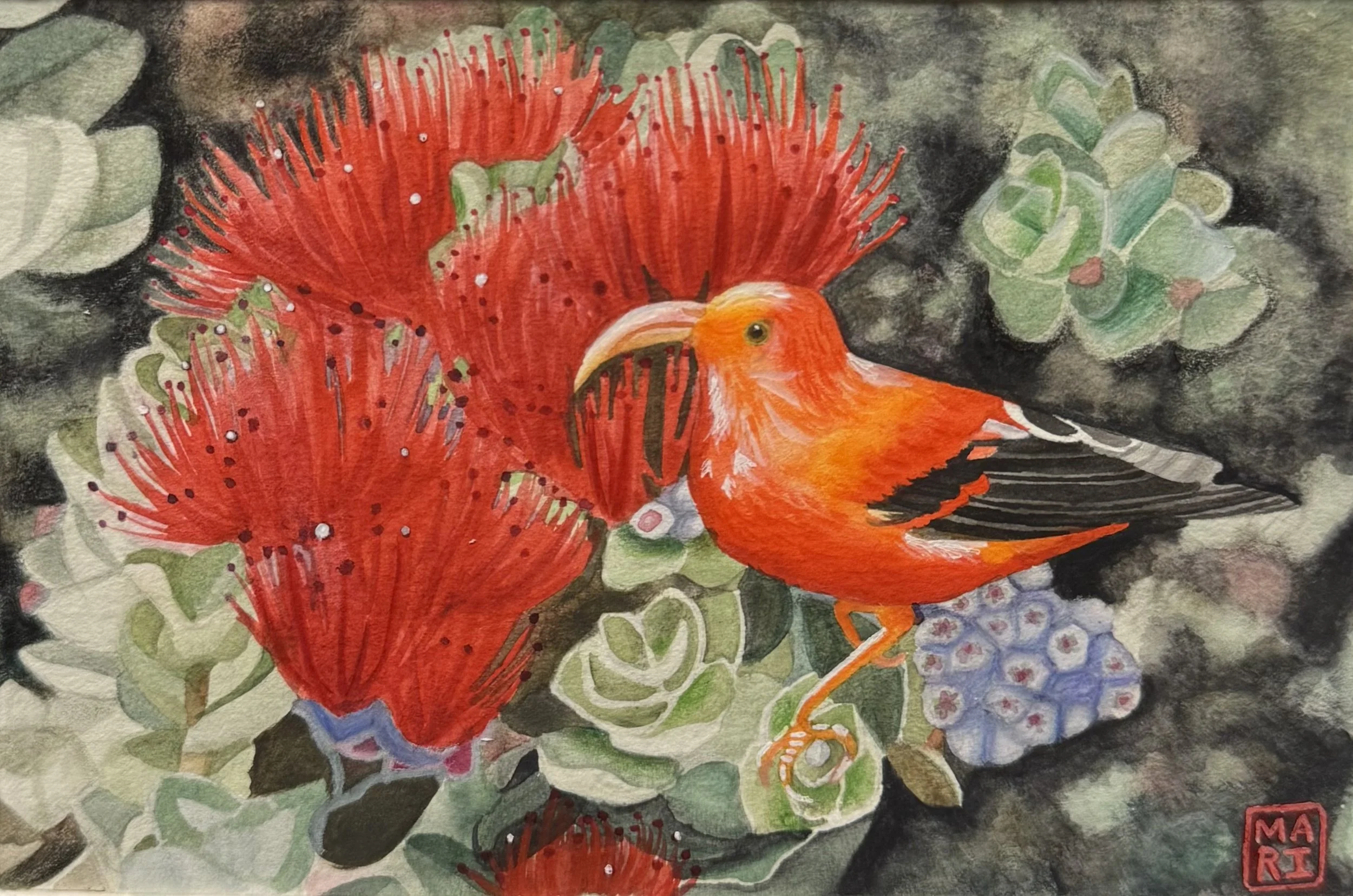 I'iwi Bird.jpeg