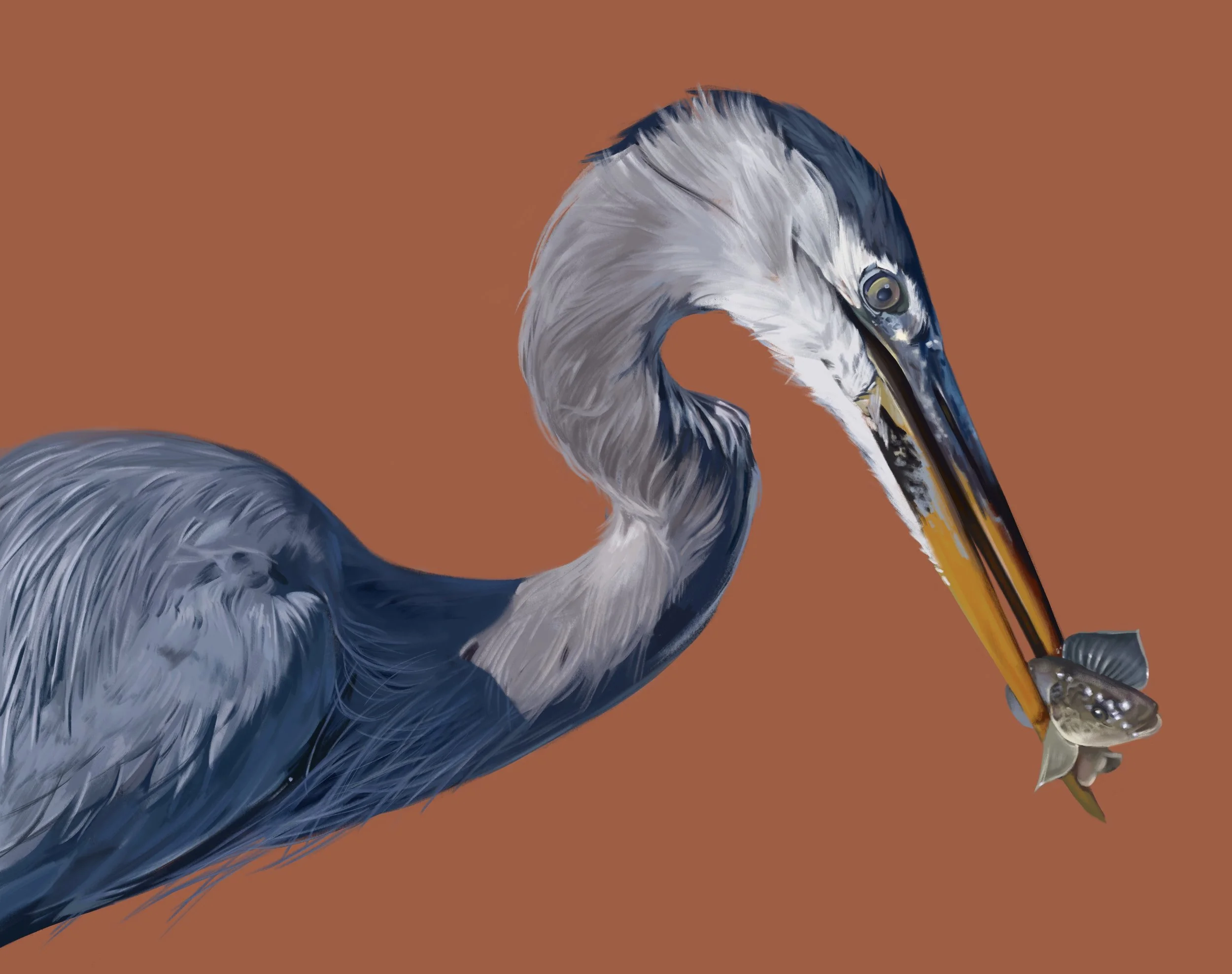 heronpainting.jpg