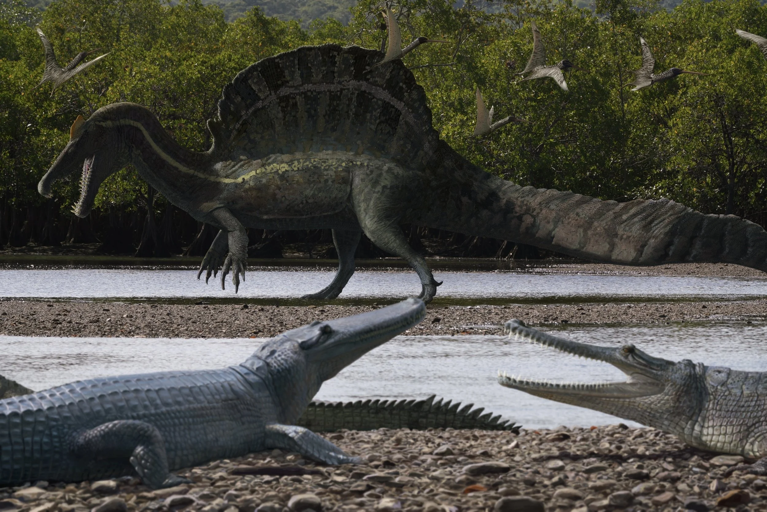 Spino Final 00.jpeg