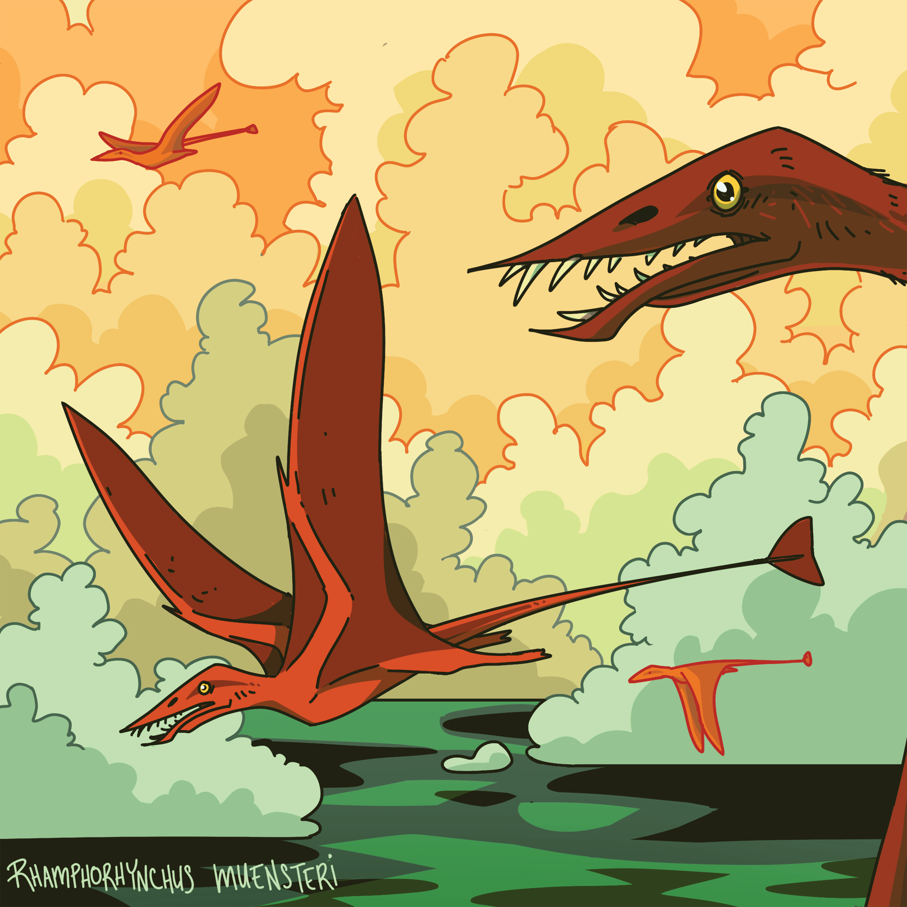 rhamphorhynchus 6x6.png