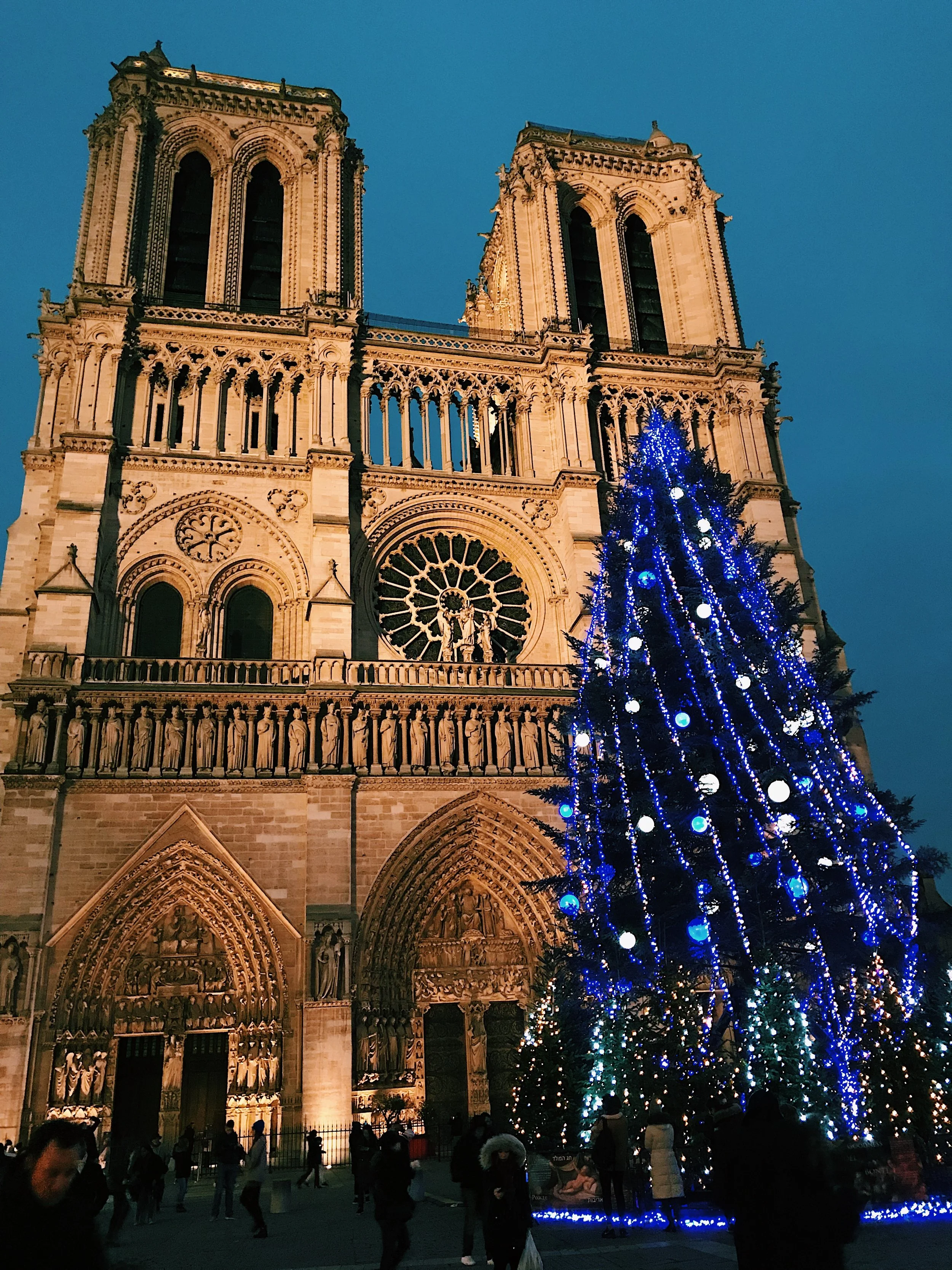 F3EA77A7-4234-4E34-8671-D944842CFD1A 2.JPG