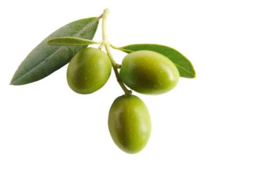 squalane - axisy serum.jpg