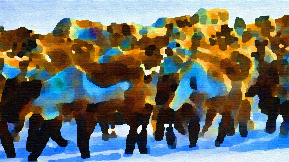 Herd 1.jpg