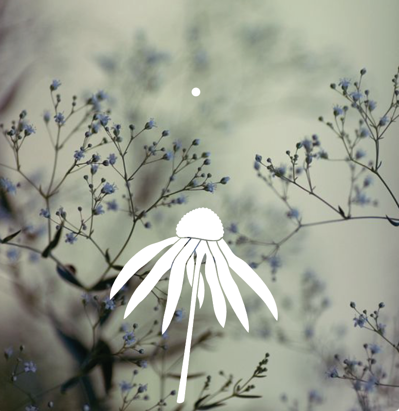 Screen Shot 2017-04-19 at 13.43.08.png