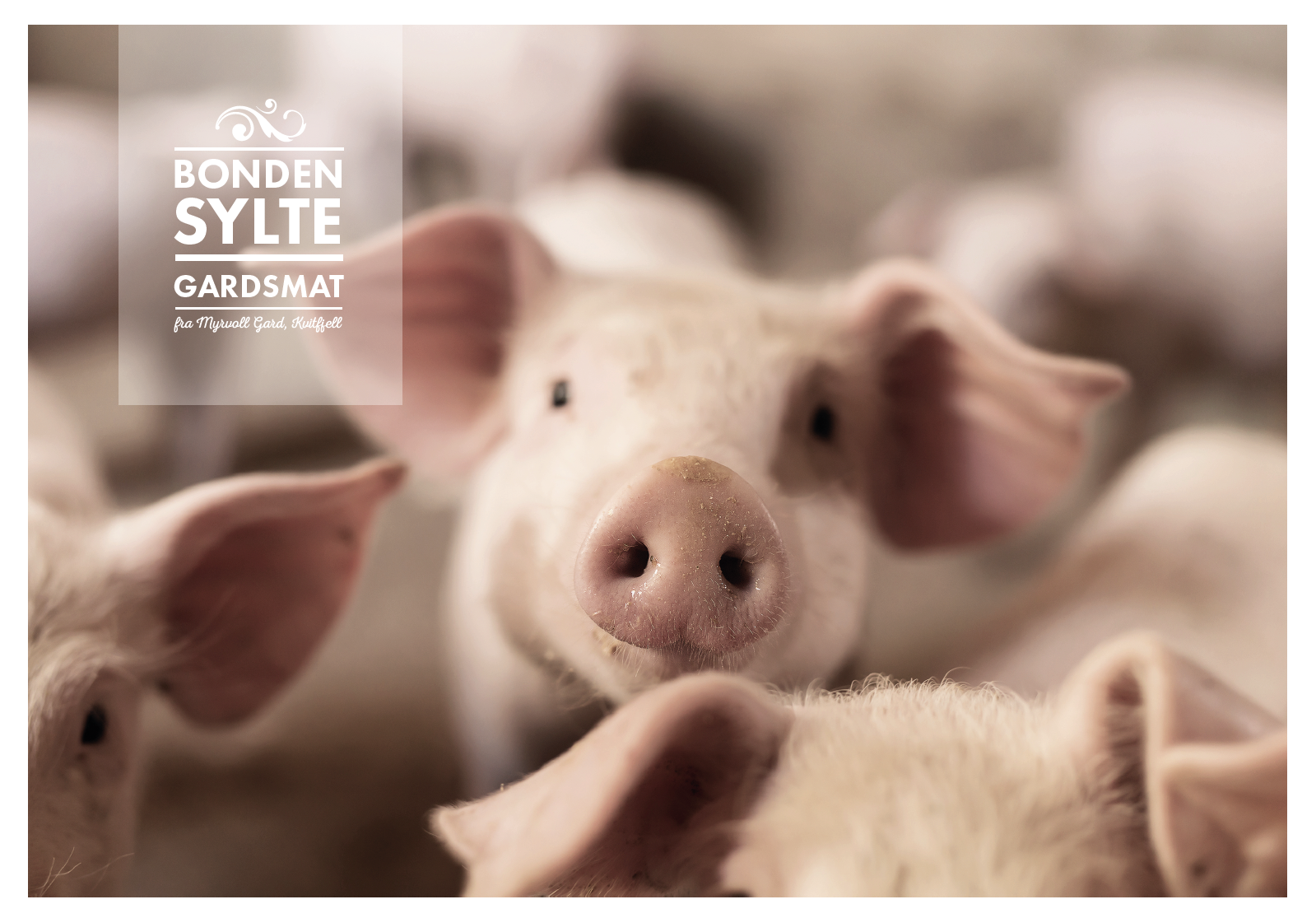 Screen Shot 2016-06-17 at 14.55.33.png