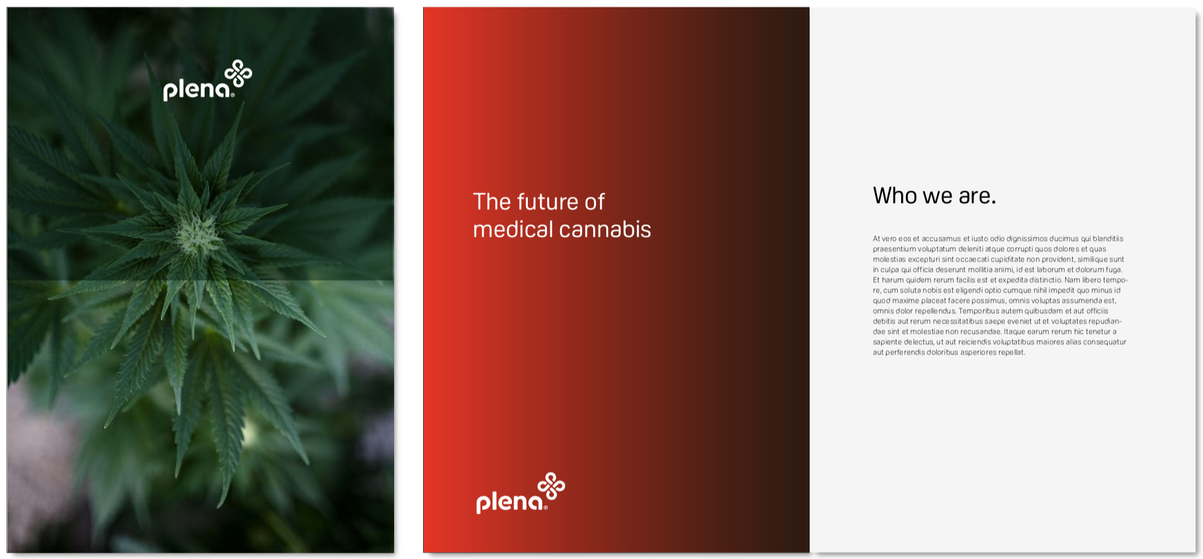 Screen Shot 2019-01-31 at 13.31.22.png