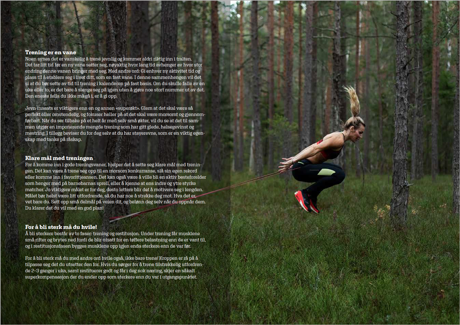 Screen Shot 2019-01-03 at 11.11.14.png