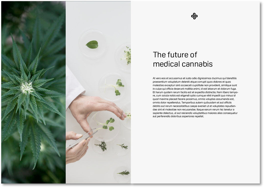 Screen Shot 2019-02-25 at 11.47.53.png