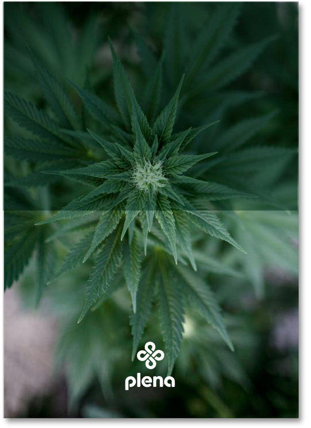 Screen Shot 2019-02-25 at 11.52.46.png