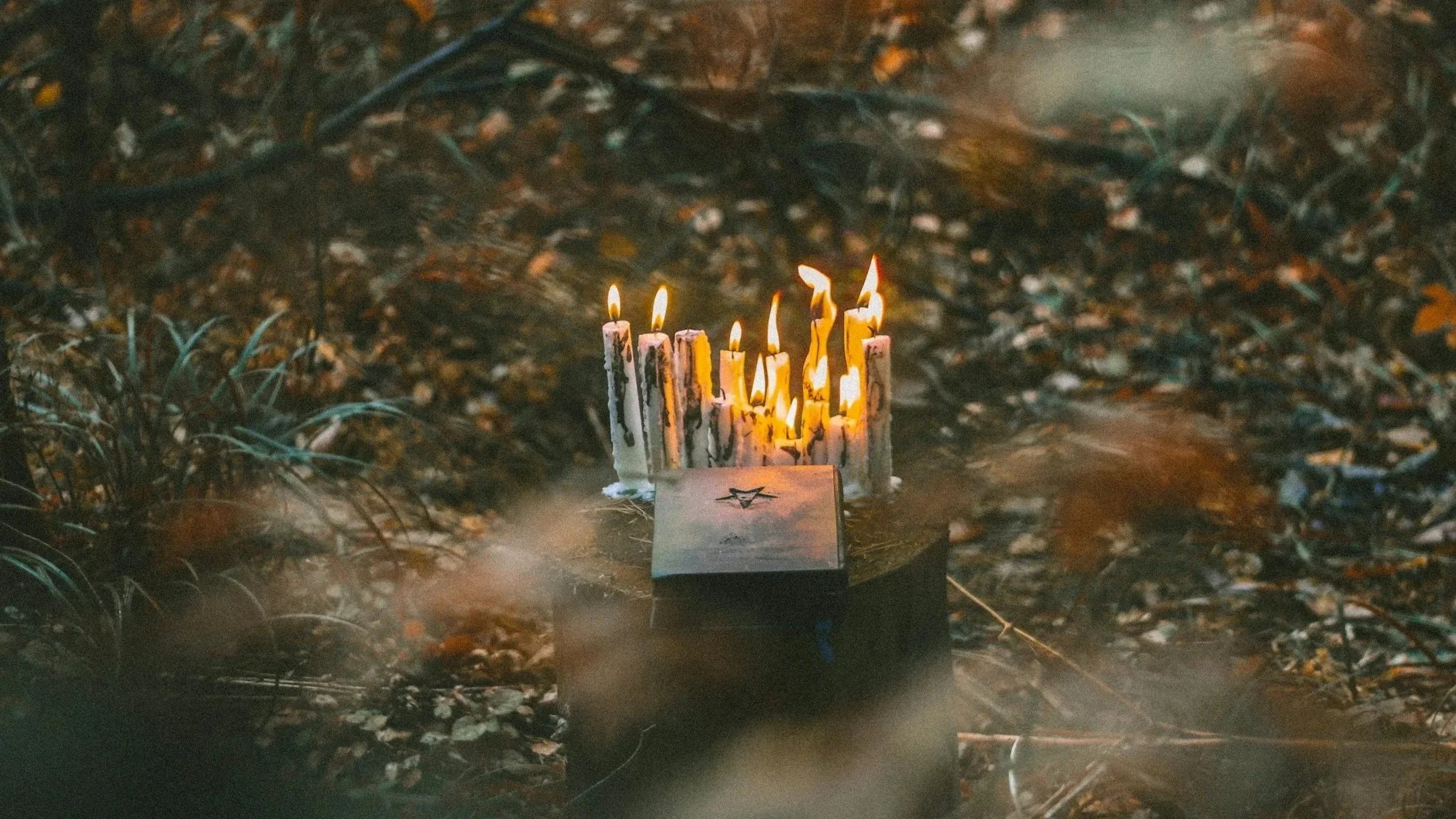 unsplash-image-NM5ZTppJ0As.jpg