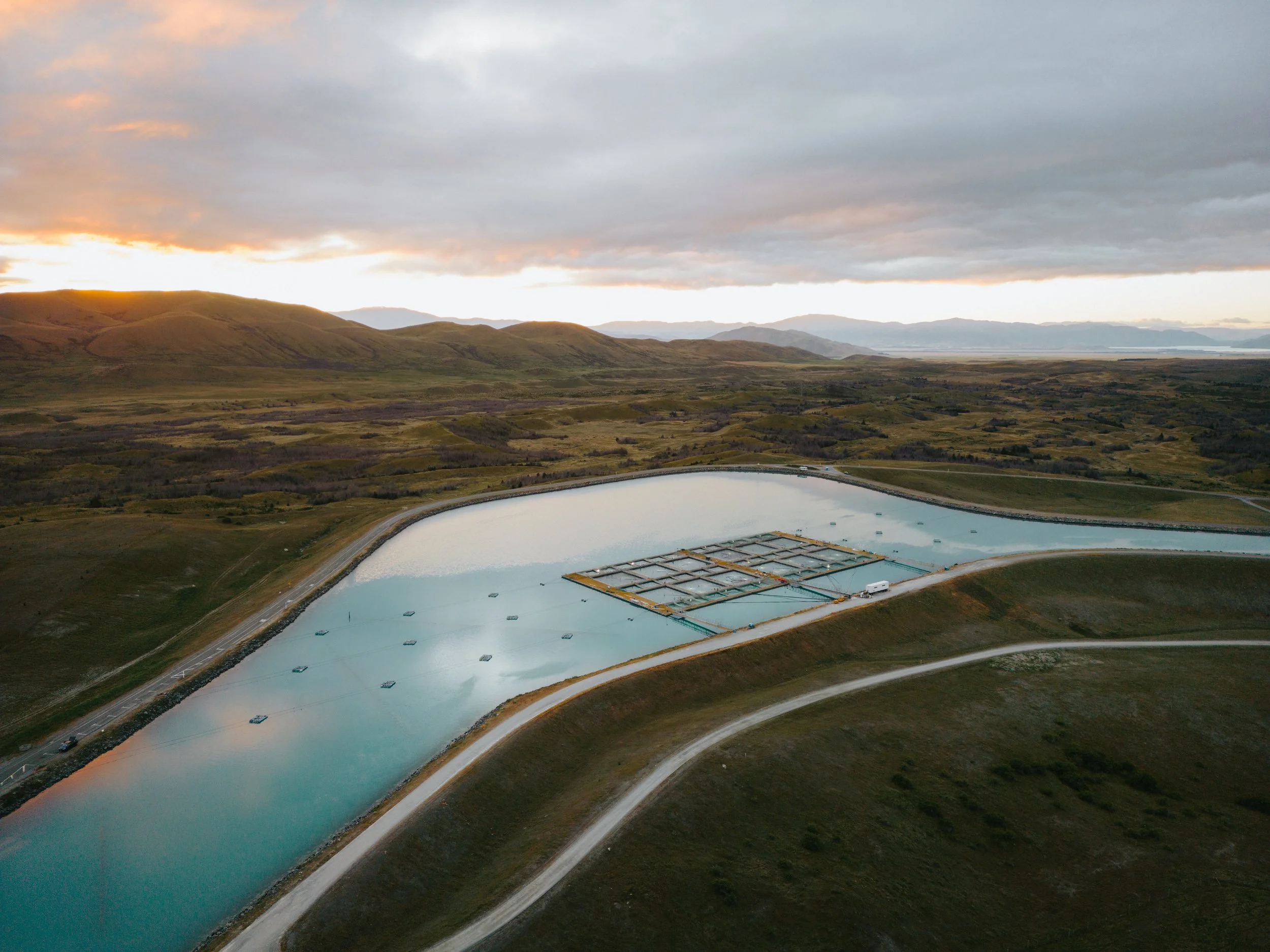 The Aoraki Salmon Farm.