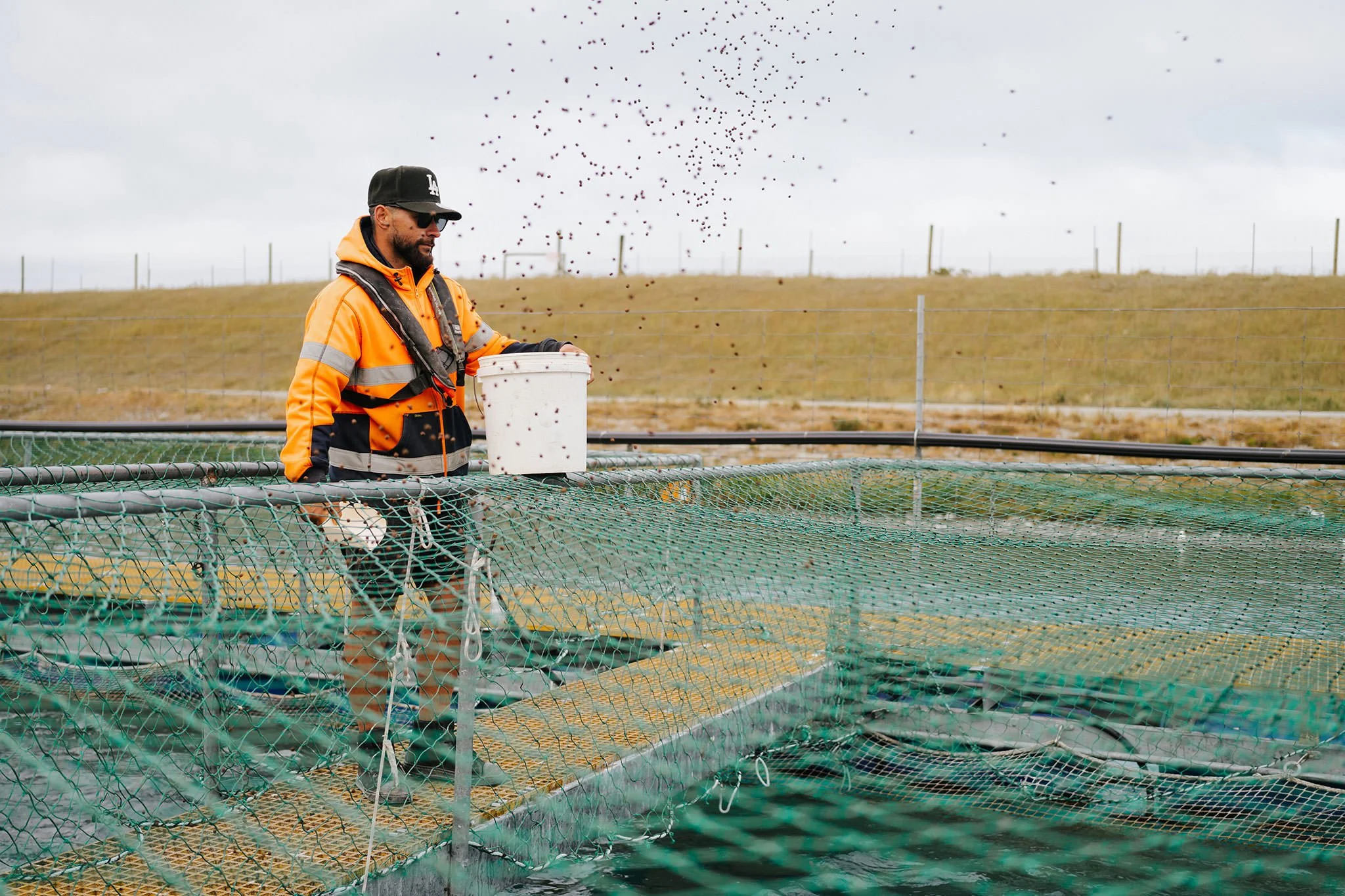 Quality control at the Salmon Farm.