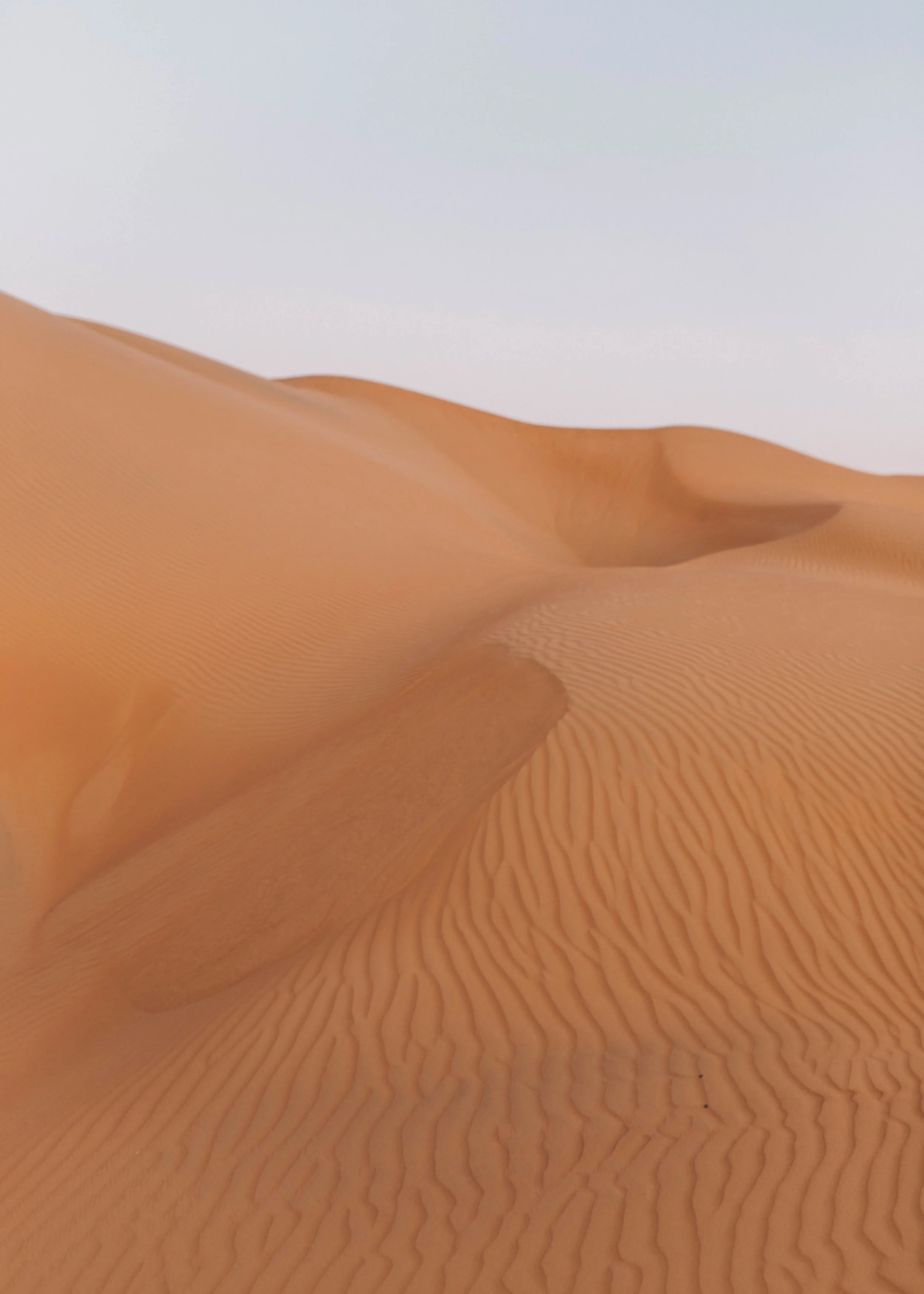 oman (17 of 177).jpg