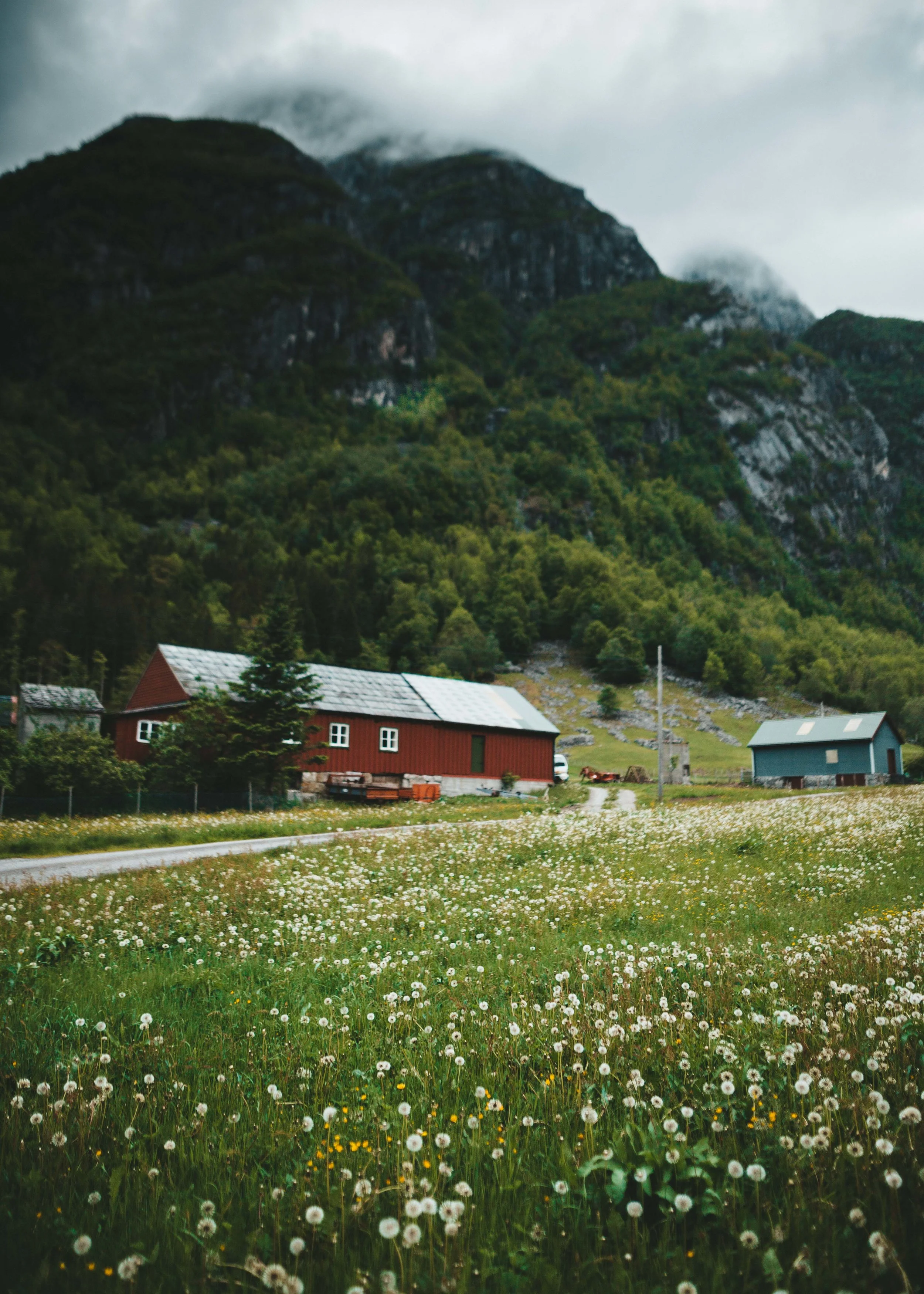 ovce (6 of 18).jpg