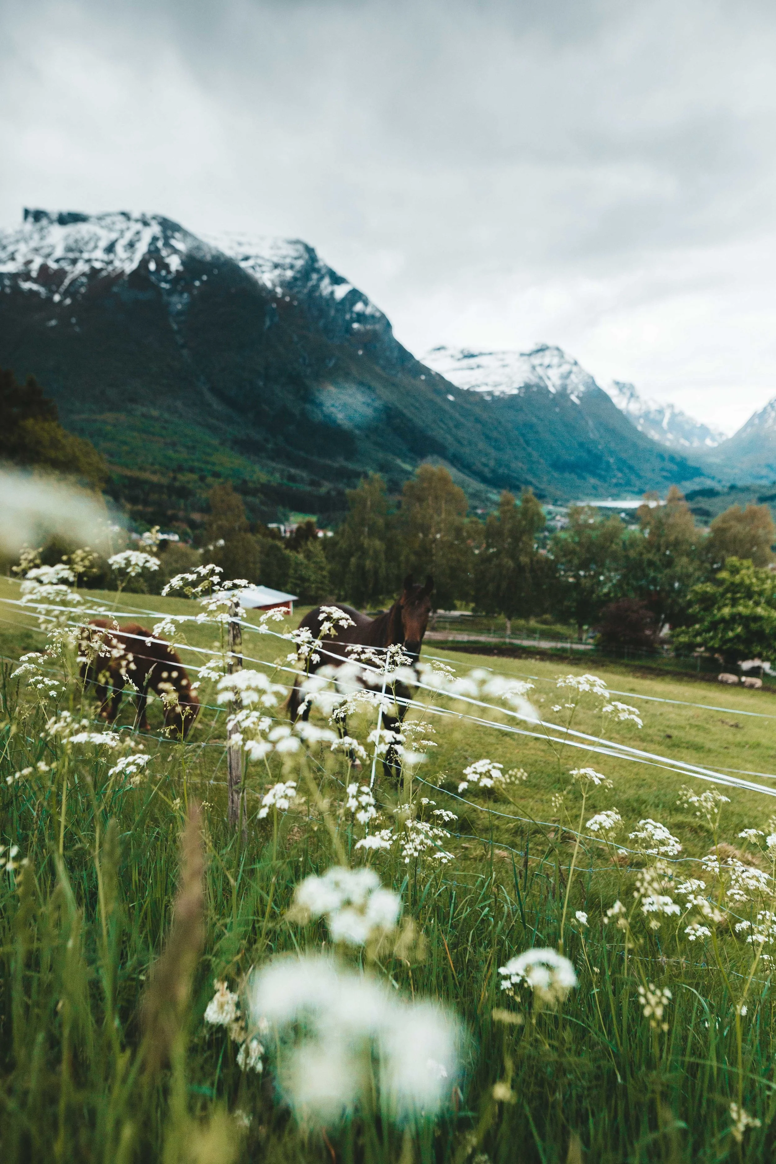 norge3 (16 of 17).jpg