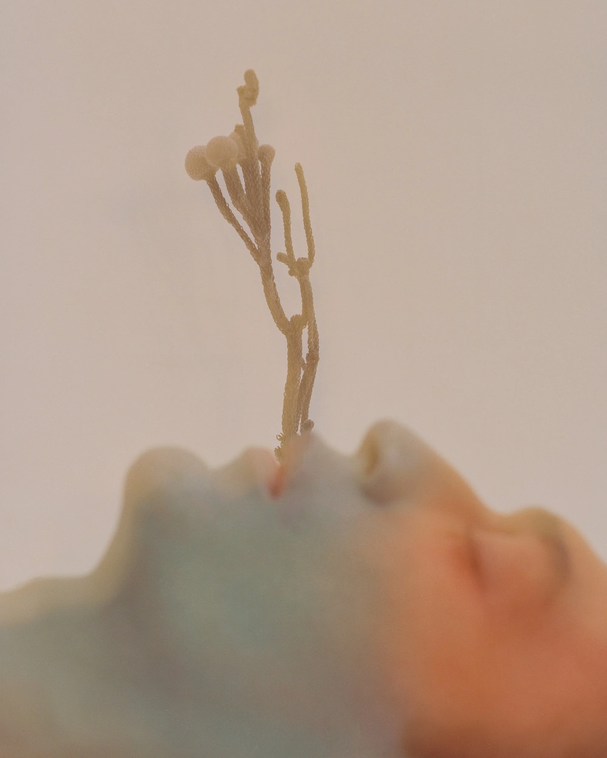 claireH270122_ 004c2r.jpeg