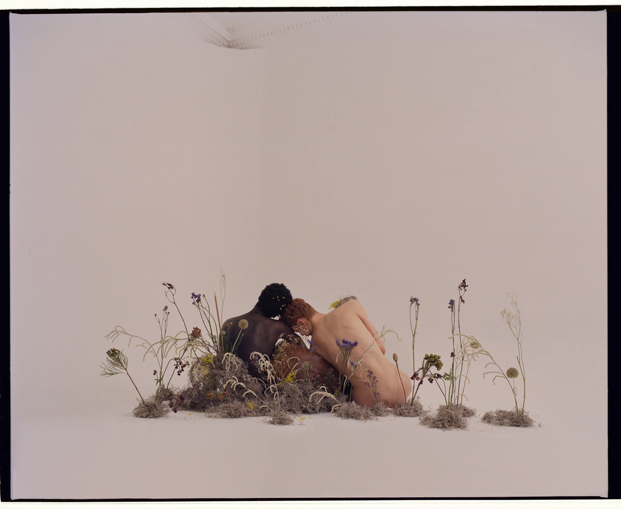 claireH270122_ 001r2.jpeg