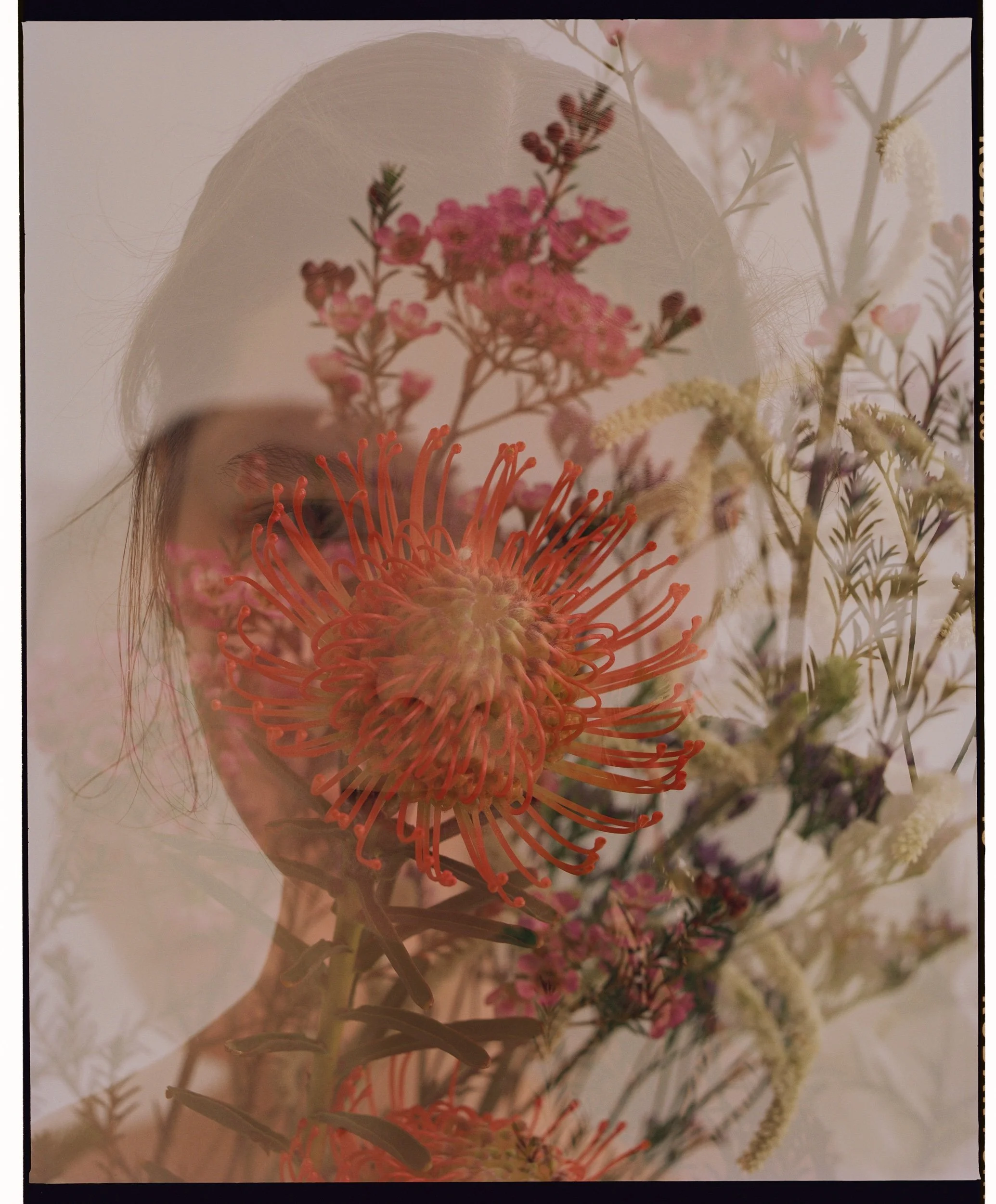 claireH270122_ 003r.jpeg