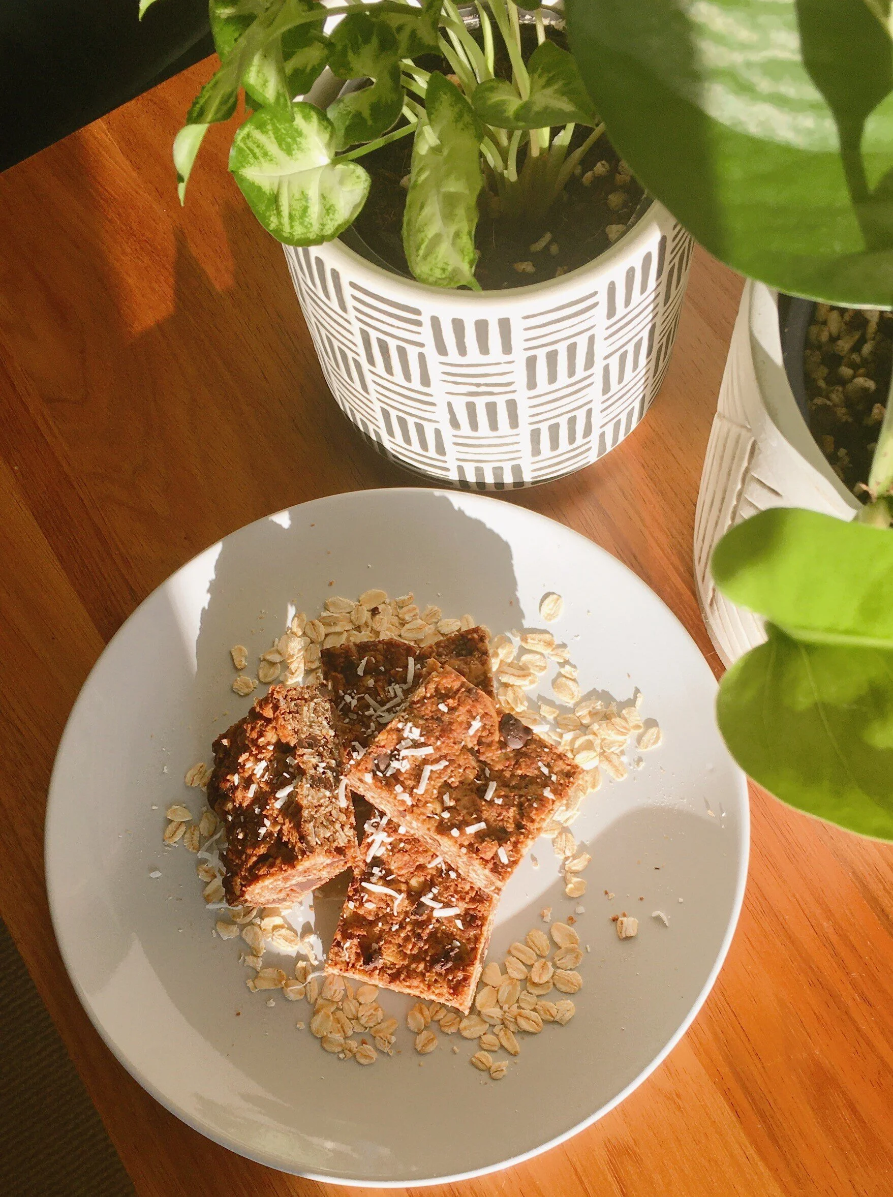 Sticky Oat and Coconut Slice