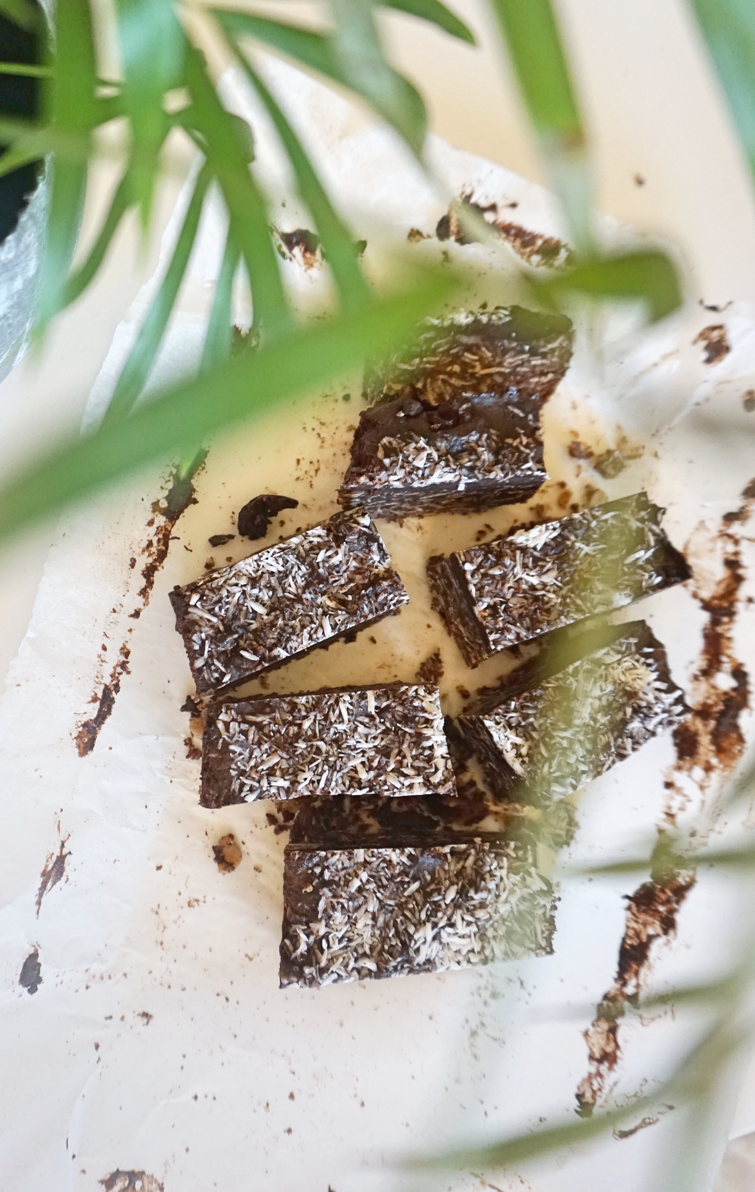 Chocolate Coconut and Oat Slice