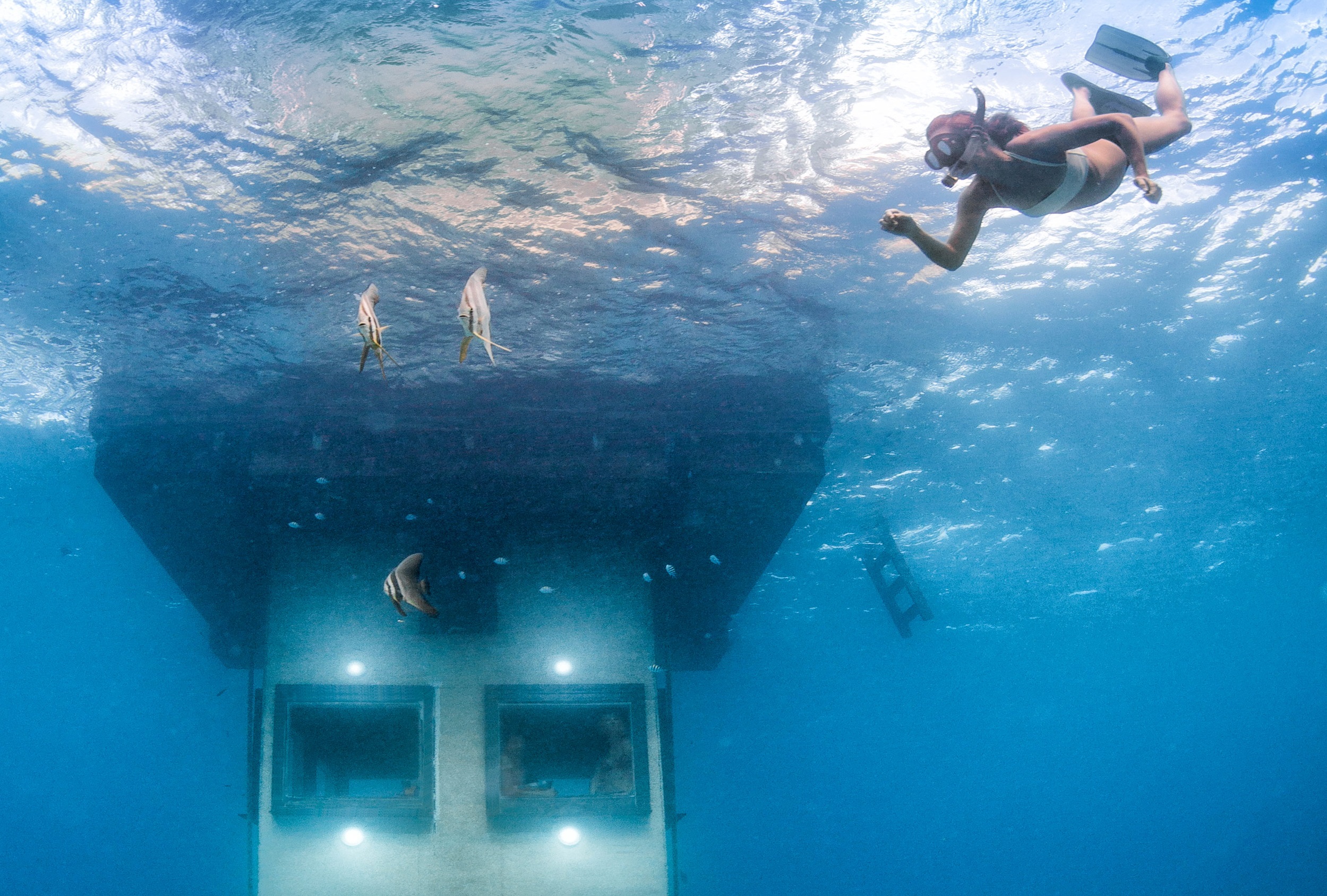 Under-water.jpg