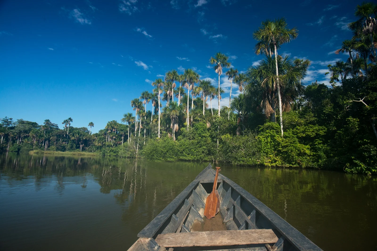 PERU AMAZZONIA_.jpg