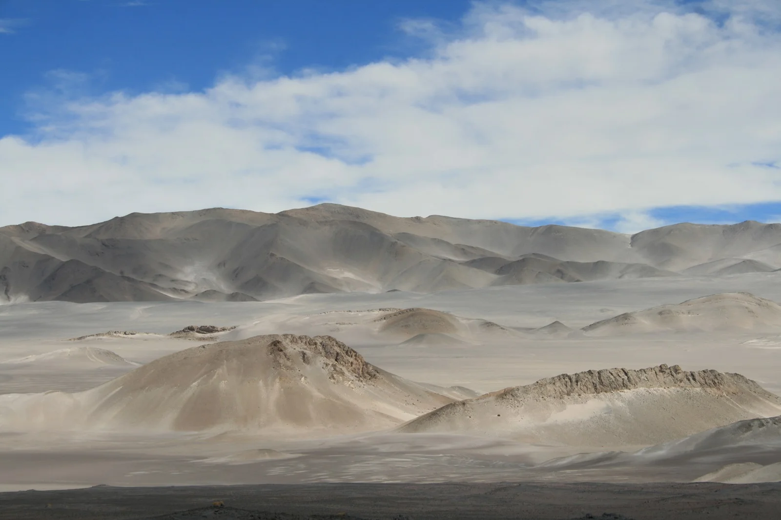 PUNA ARGENTINA  DUNE BIANCHE .JPG