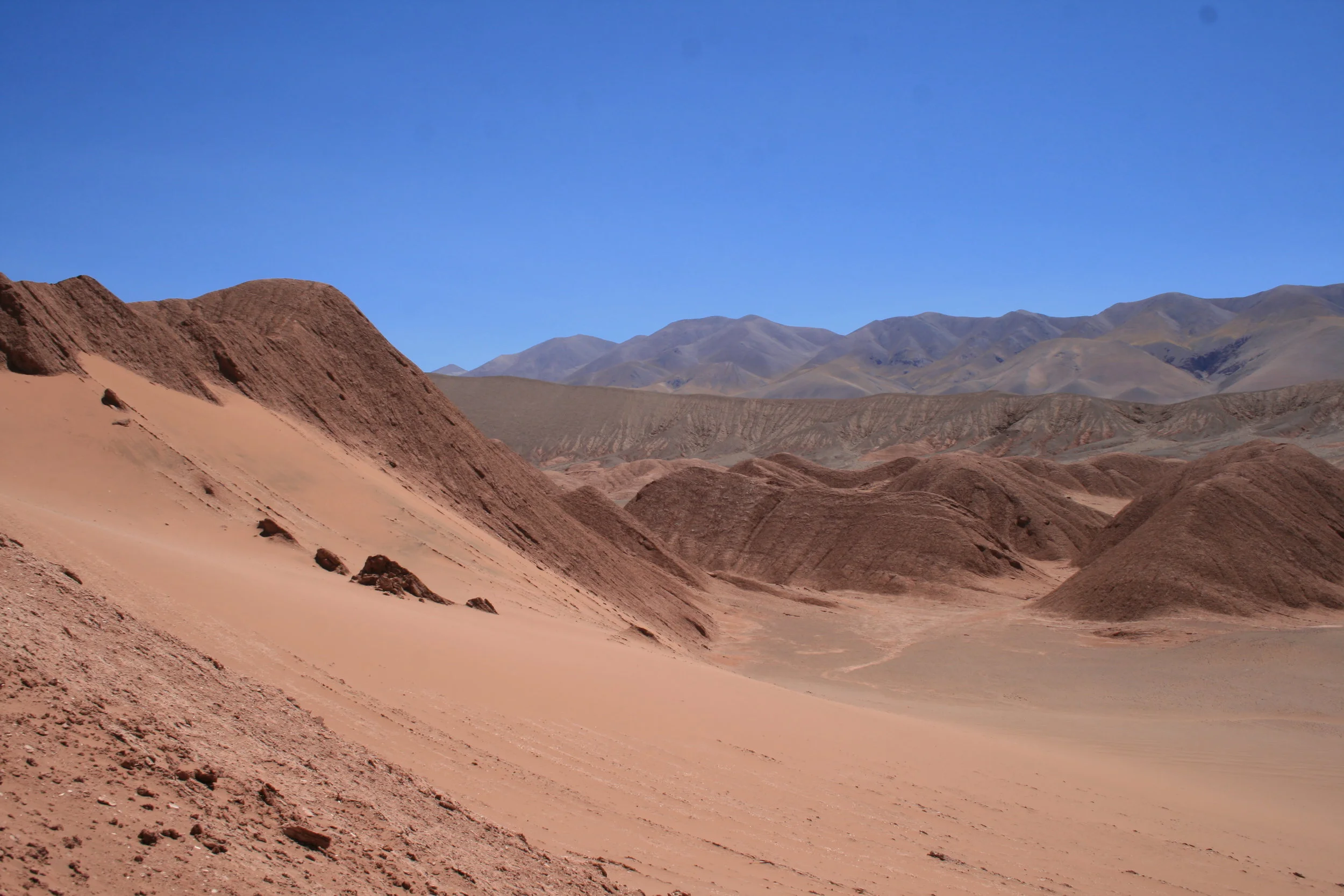 PUNA ARGENTINA DESERTO LABIRINTO.JPG