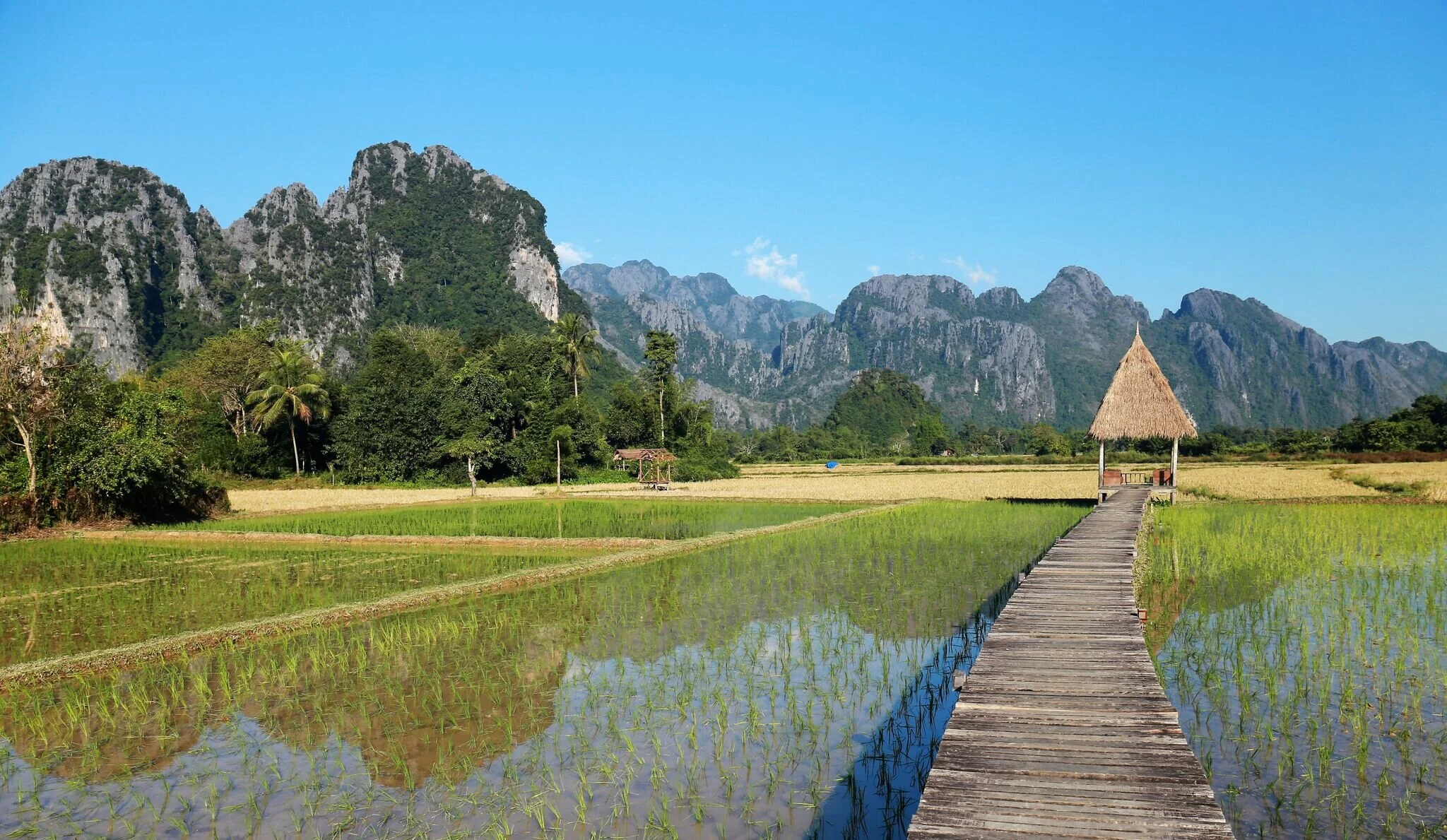 Viaggio-in-Laos-Vang Vieng-risaie-Wadi-Destination.jpeg