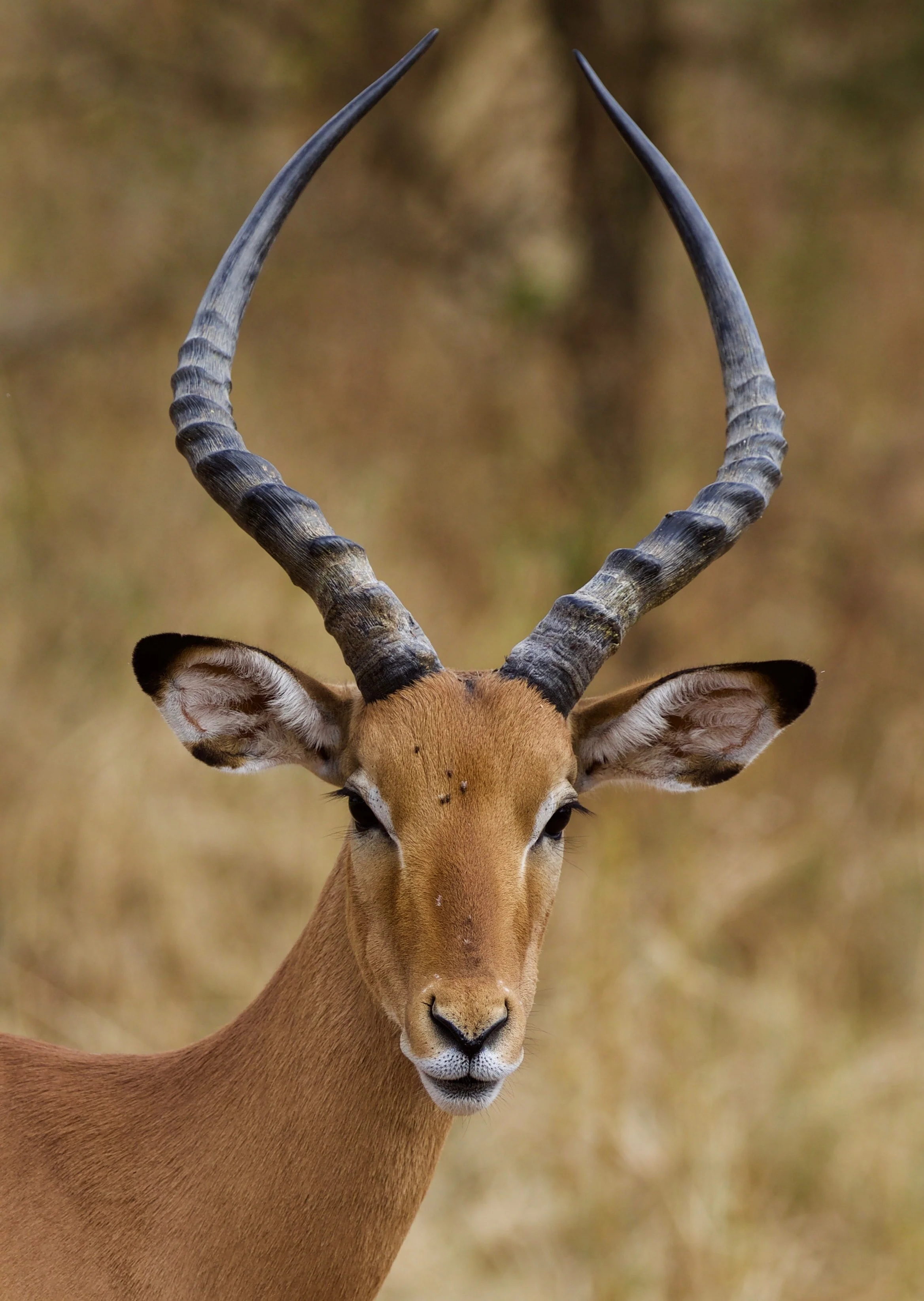 tanzania_17.jpg