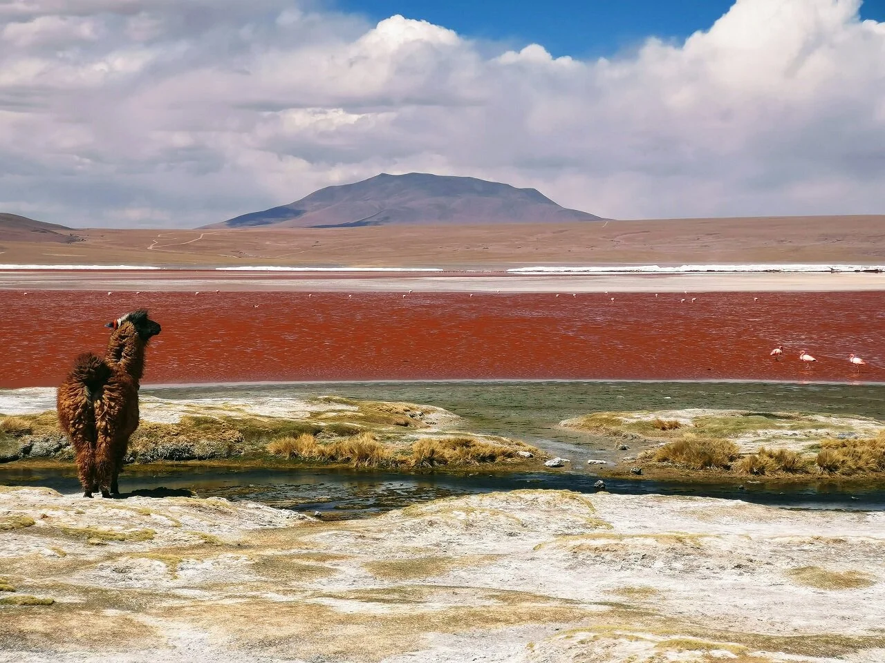 Viaggio in Bolivia nel cuore delle Ande