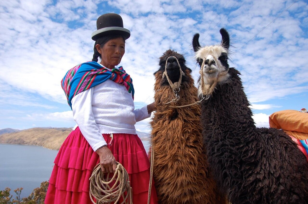 bolivia-lago-titicaca-lama.jpg