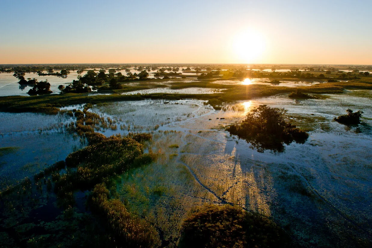 Lodge Safari in Botswana e Cascate Vittoria 10 gg 8 notti