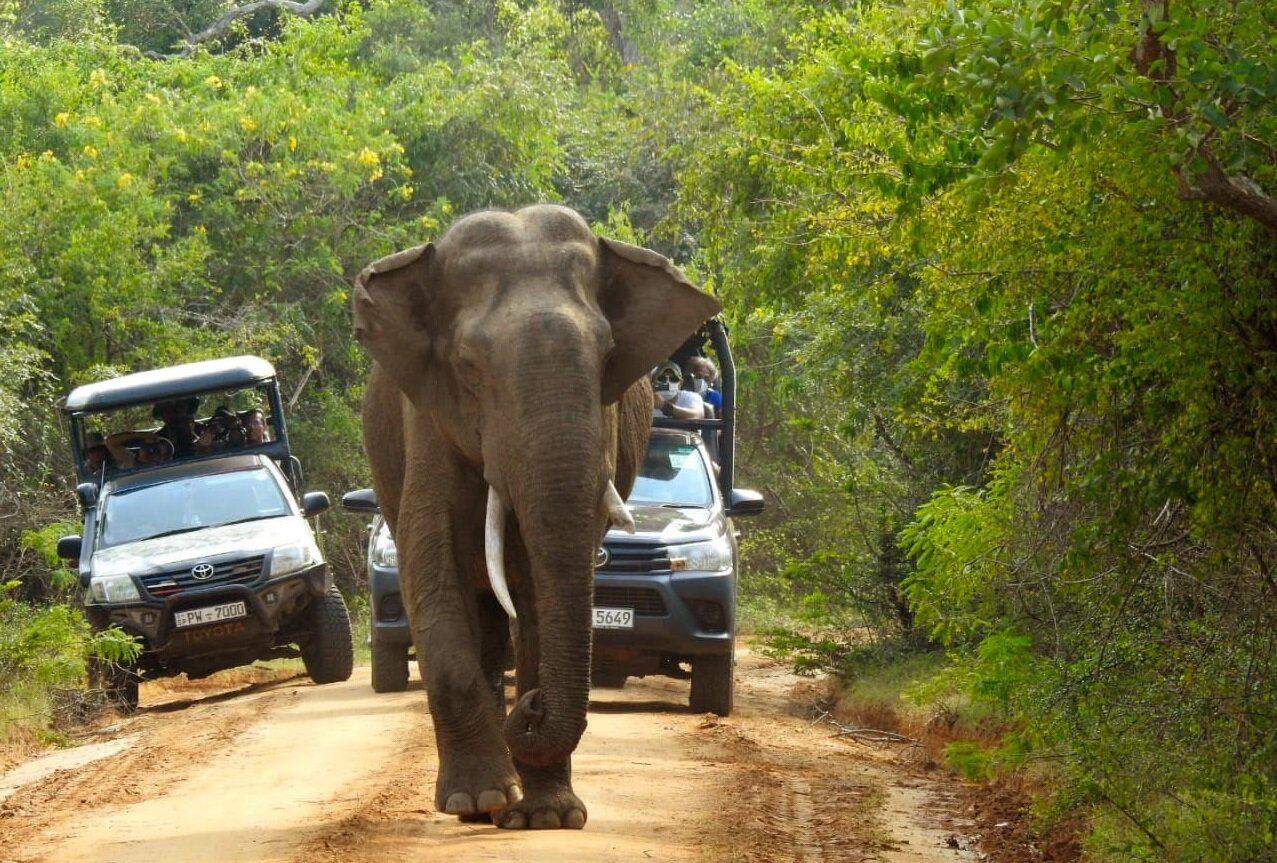 jeep-safari-sri-lanka-wadi-destination.jpg
