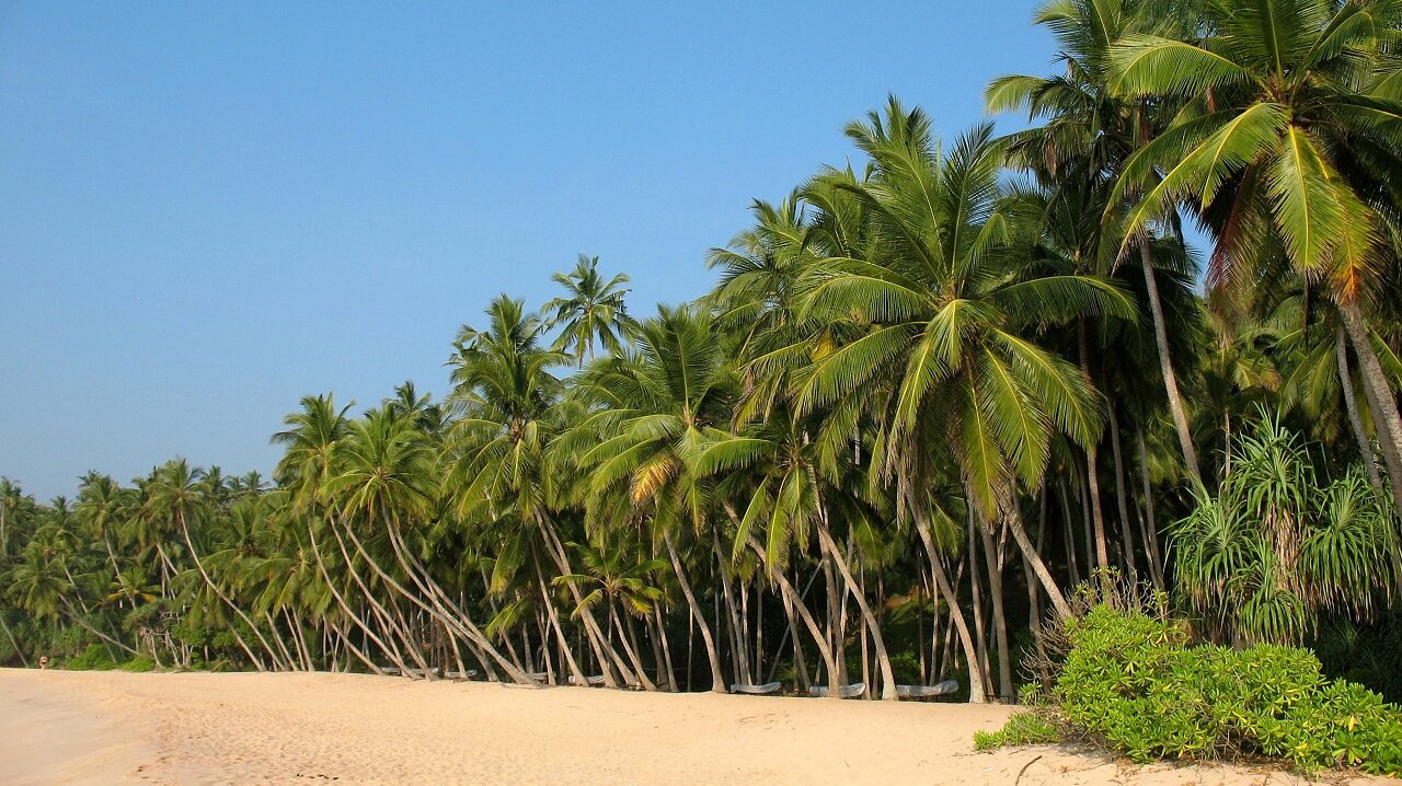 sri-lanka-spiagge-mare-wadi-destination.jpg