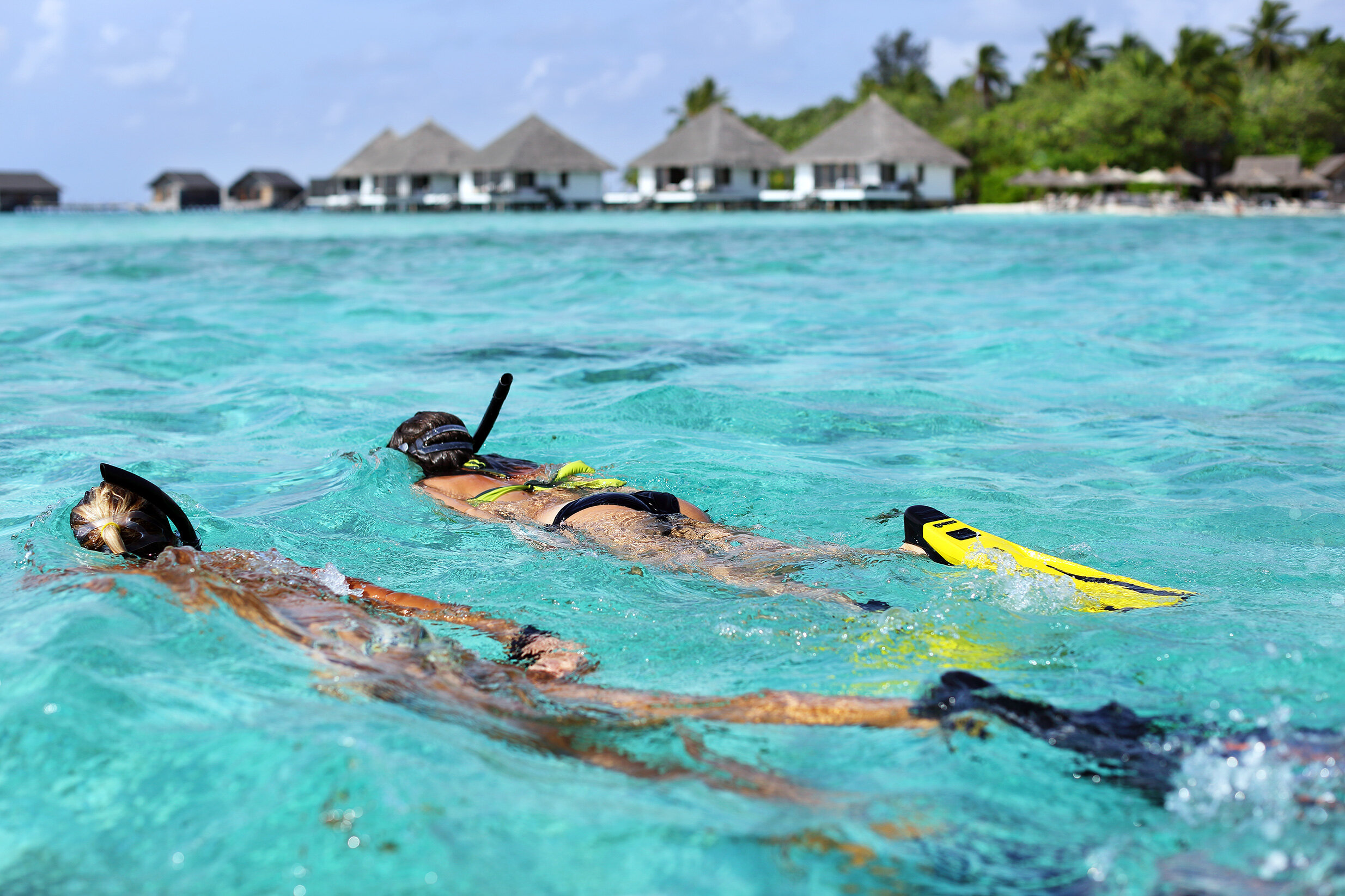 maldive-hotel-gangehi-resort-snorkeling-wadidestination.jpg