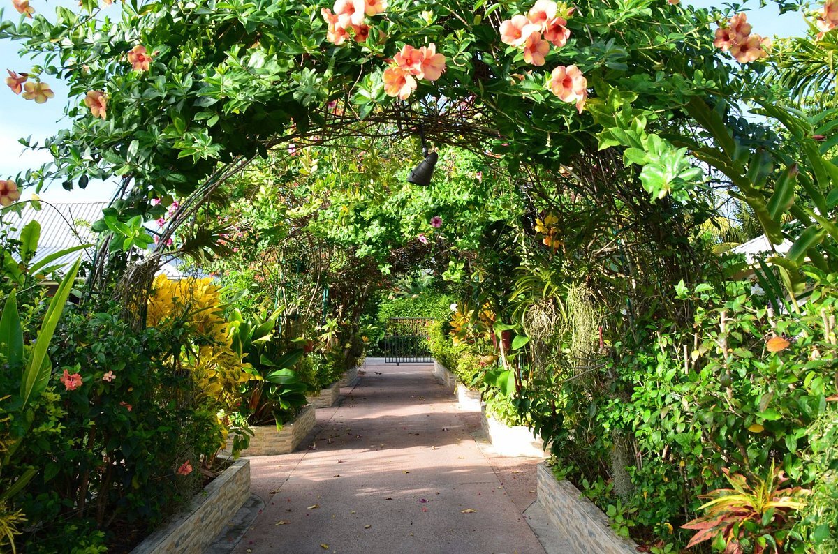 seychelles-etoile-labrine-guest-house-giardino-isola-la-digue-wadi-destination.jpg