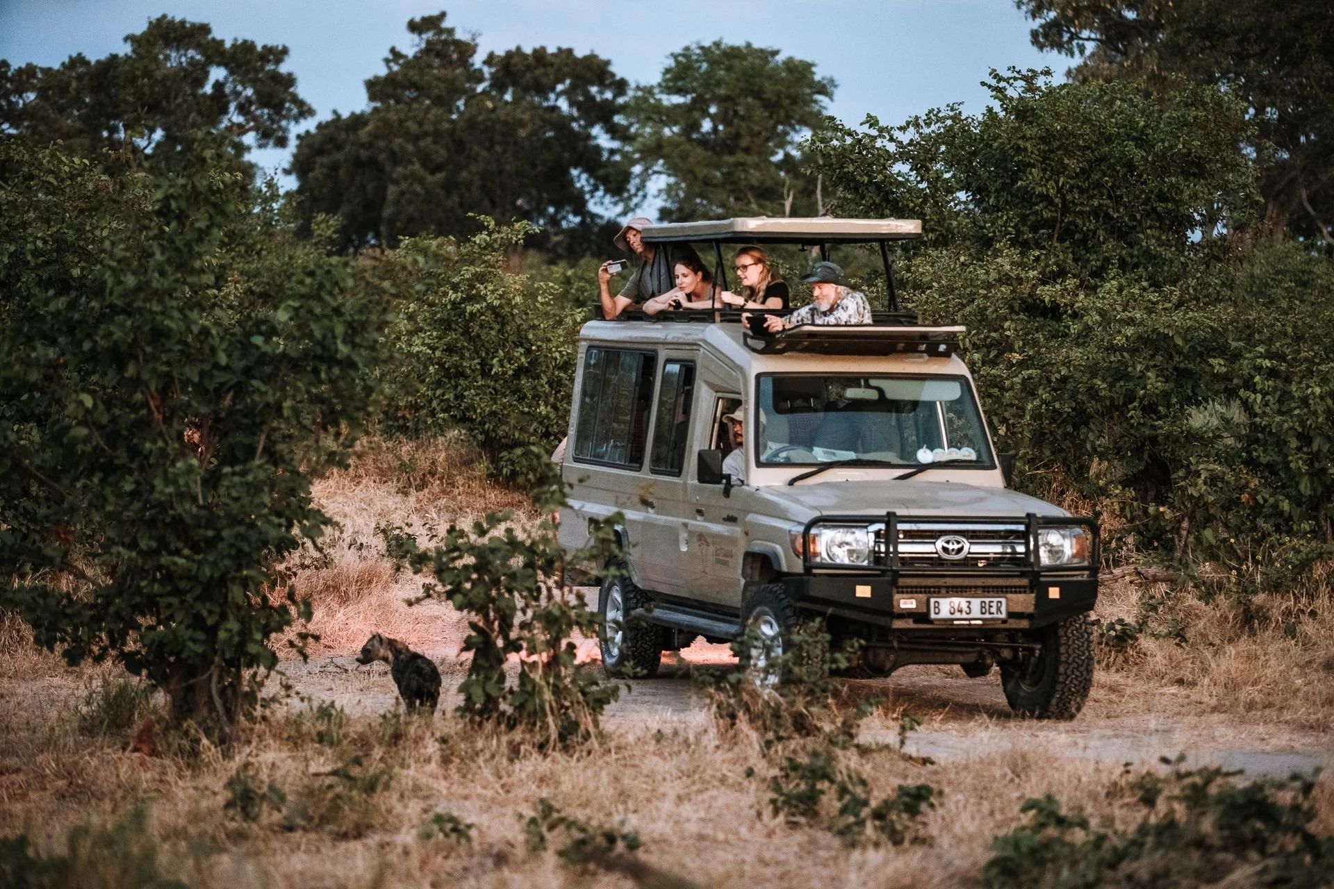 Destinazione Bostwana! Overland Lodge Safari
