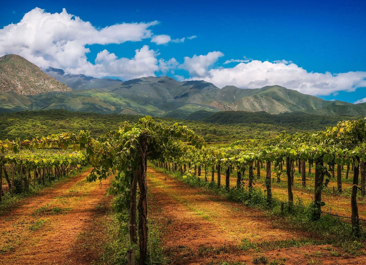 cafayate-vigneti-argentina-wadi-destination.jpg