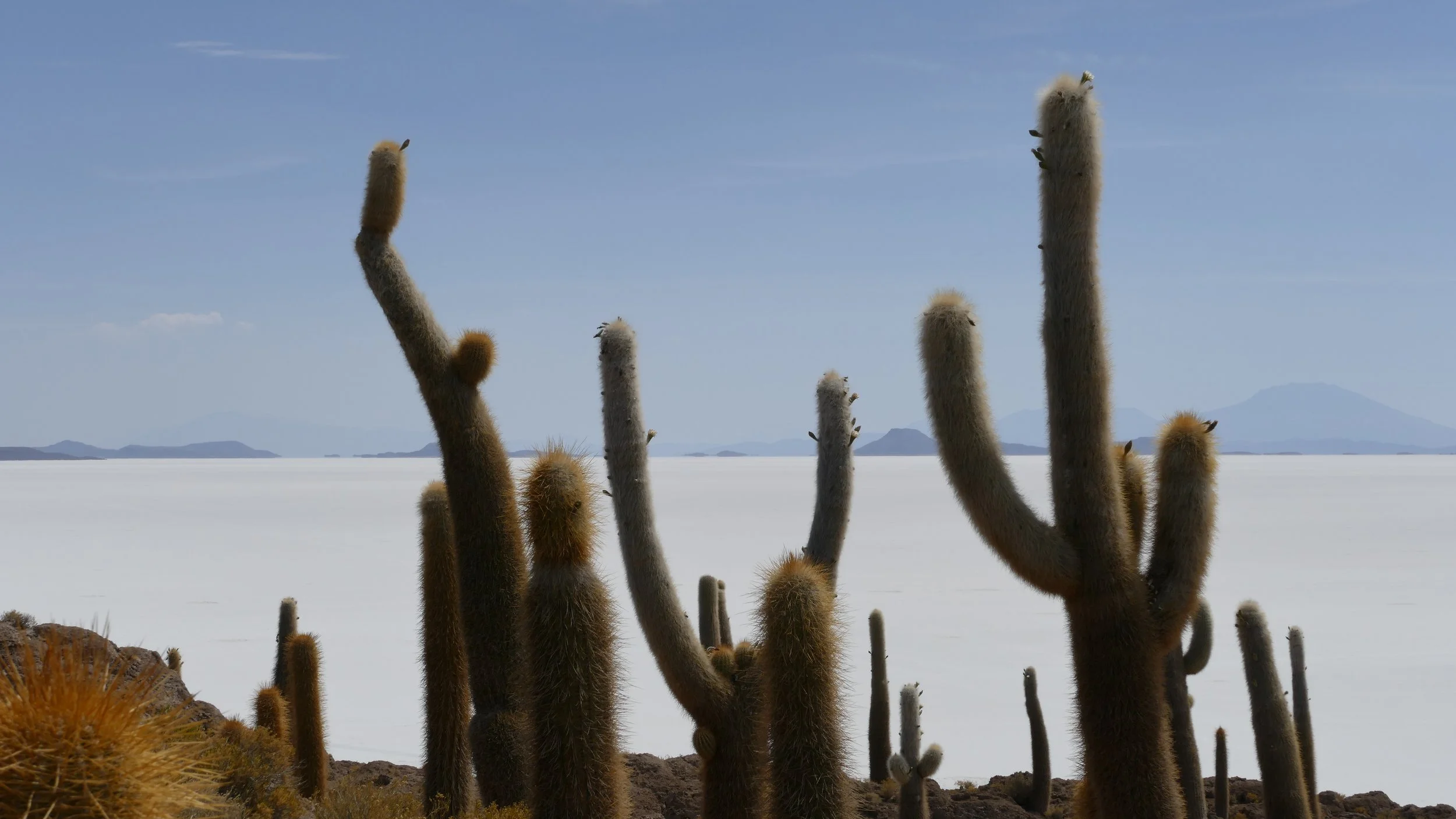 Perù &amp; Bolivia.  Da Cusco al Salar de lo Uyuni 