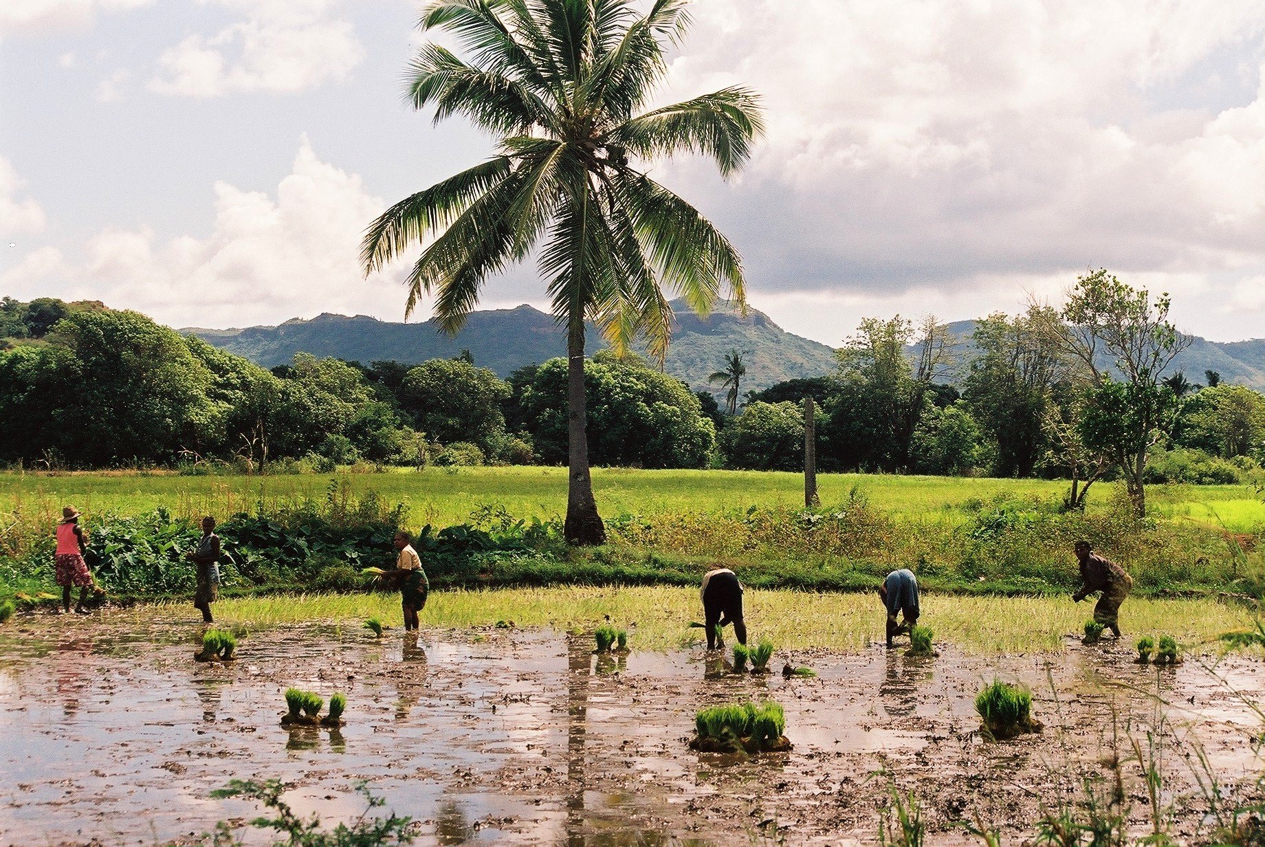 Tour dei parchi del Nord e soggiorno mare nell'arcipelago di Nosy Be