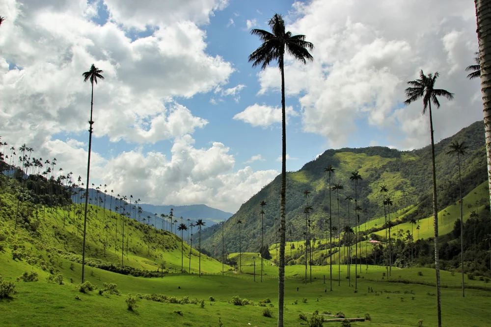 colombia-valle-di-cocora-wadi-destination-tour-operator.JPG